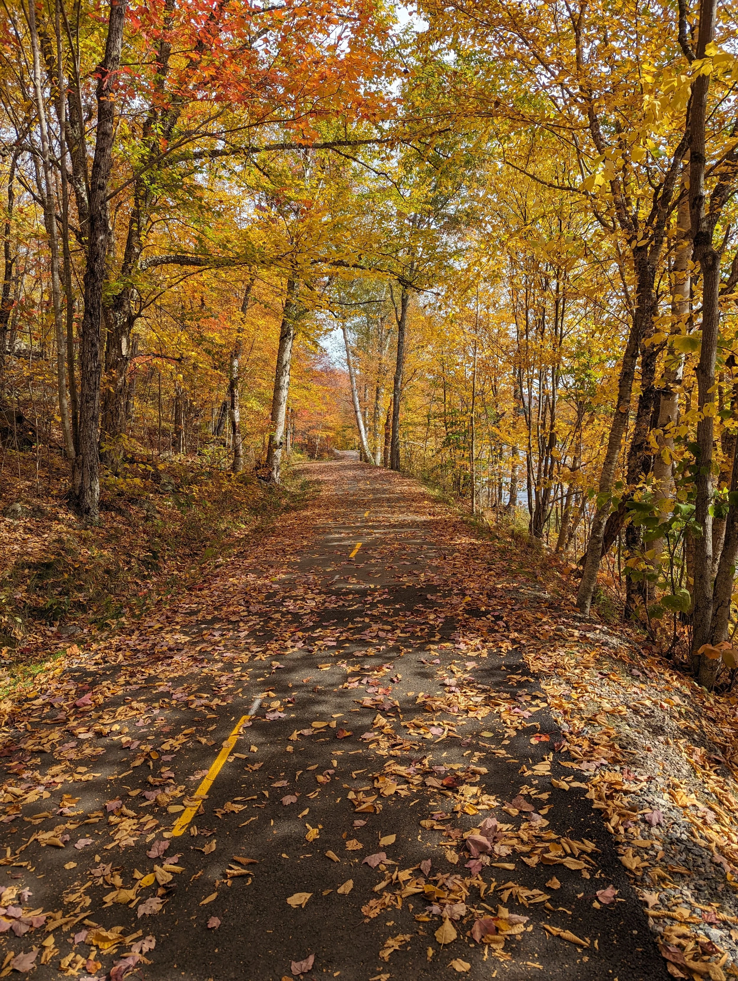 Tremblant Fall Walk Oct 5, 2023