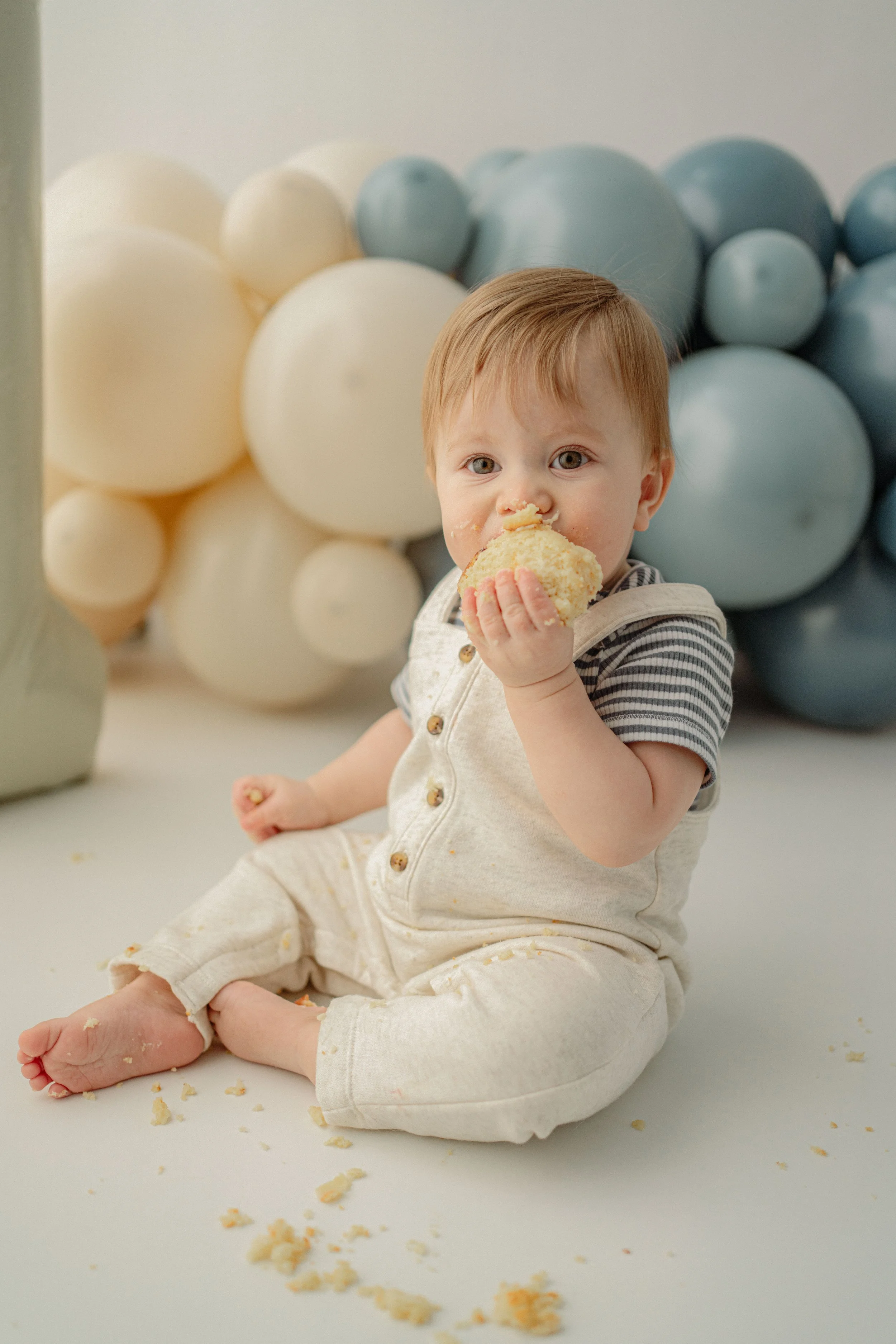 one year cake smash milestone session in studio in castle rock, baby is eating a cupcake