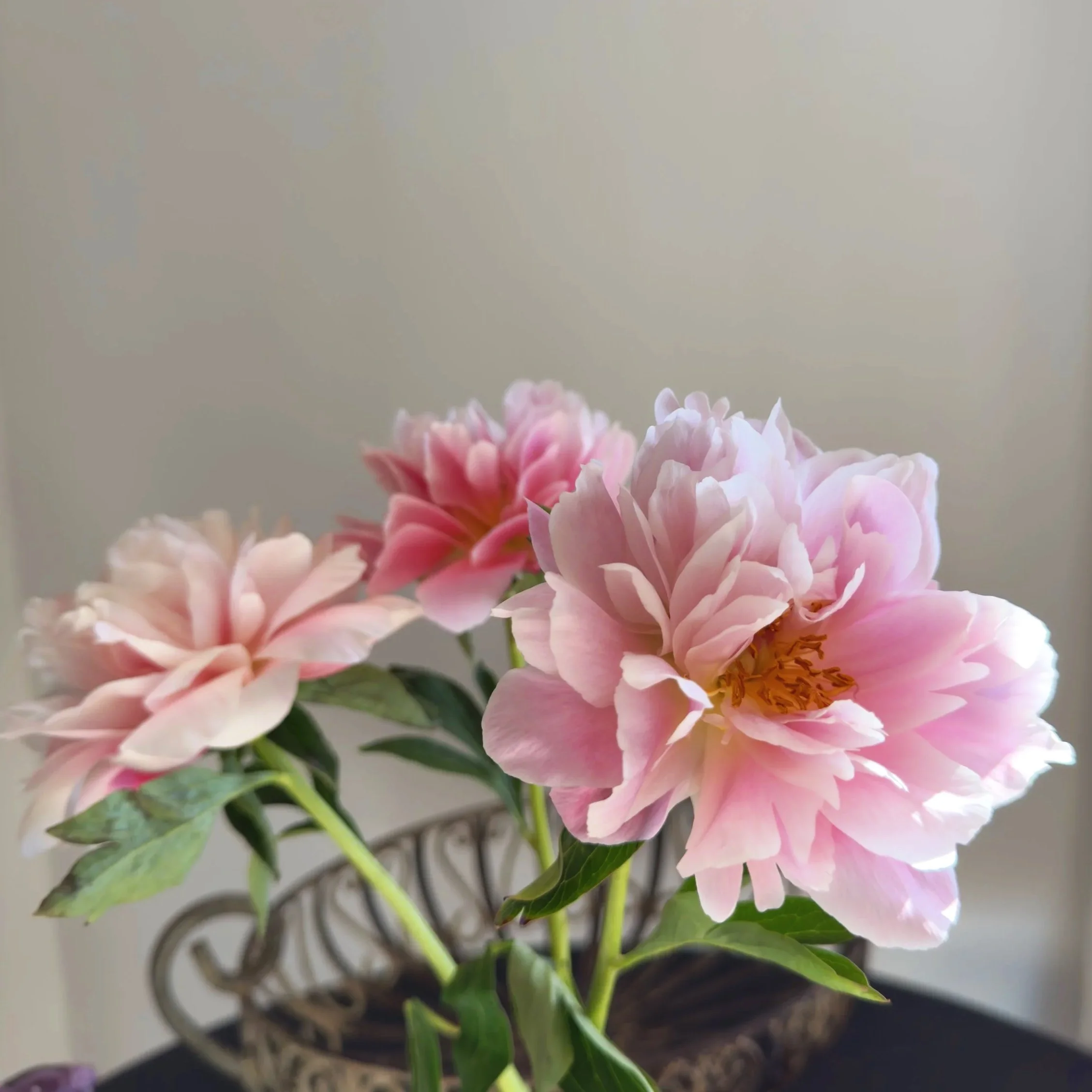 Gathering &amp; Abundance