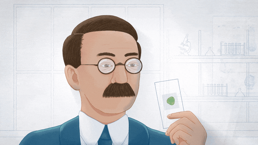 edwin g conklin inspect microscope slide