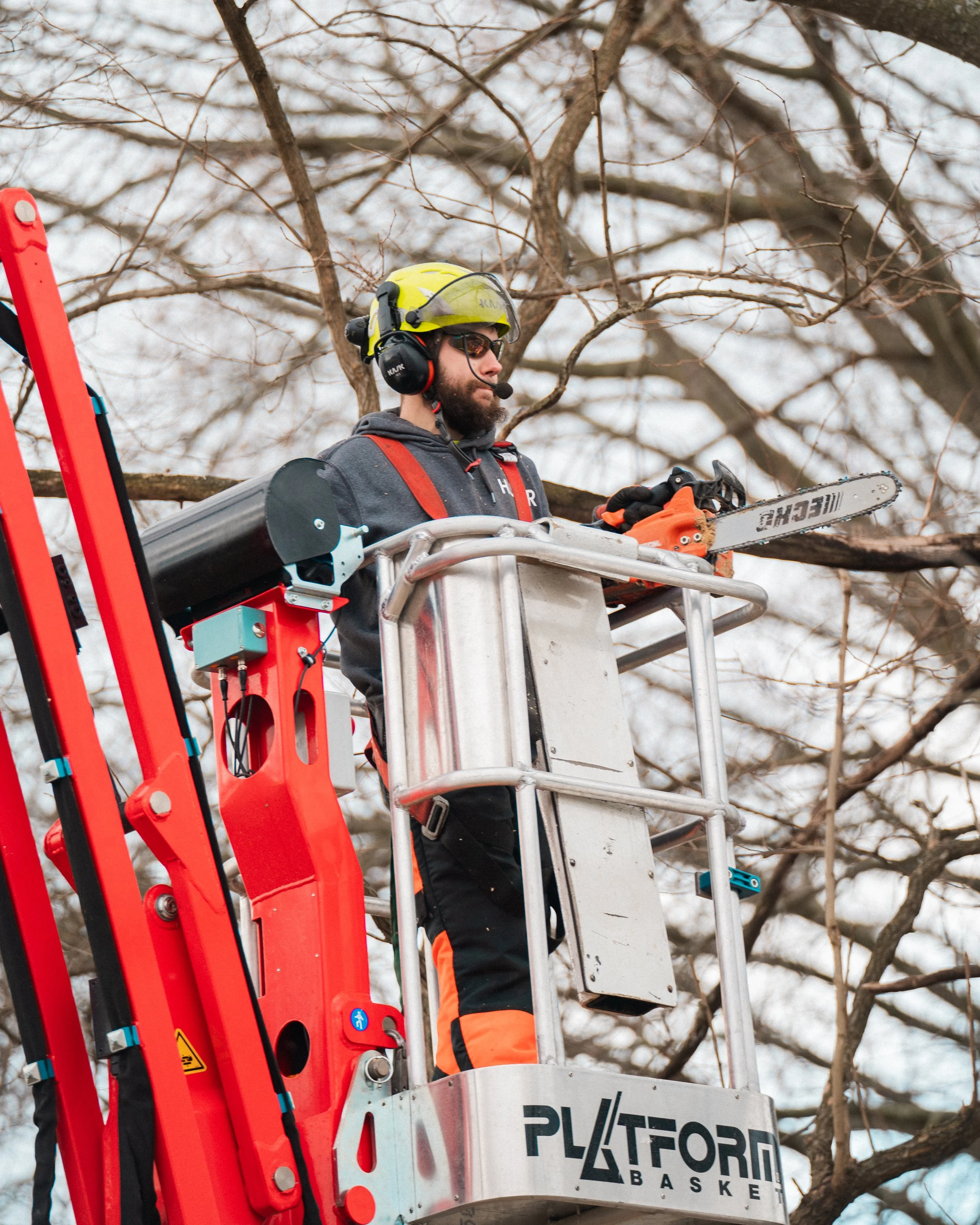Vanderkooi Tree Service Muskegon MI Arborist, Tree Cutting & Trimming