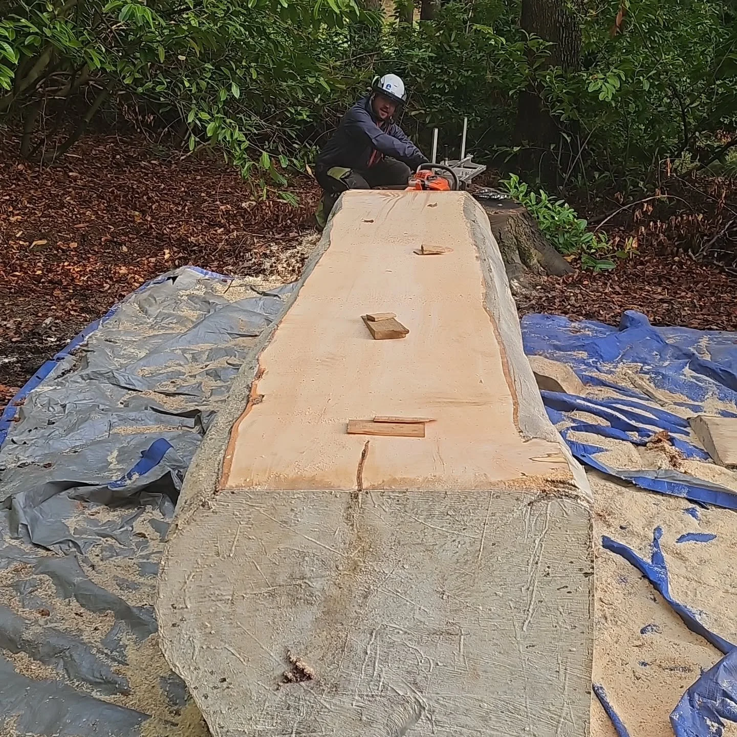 Milling a stem from a large Beech tree we felled earlier in the year. Nice to do something with timber other than firewood for a change. 

#darachtreecare #treesurgery #treefelling #millingtimber #aberdeenshire #aberdeen