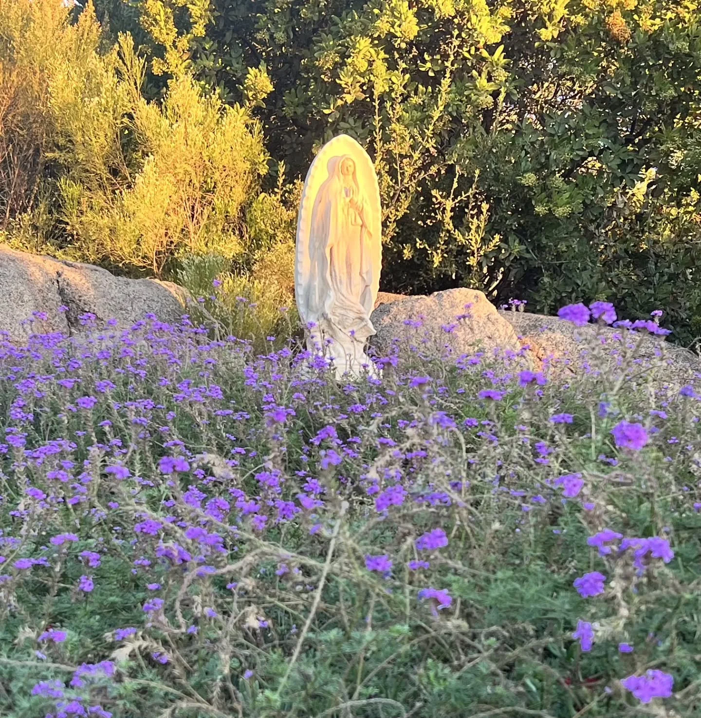 Greetings from beautiful Mexico.