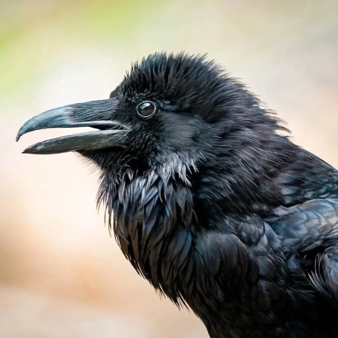 Our deaths illuminate our lives. We honor the memories of the departed, and we remember that their spirits continue to live on through us and through the love we share.