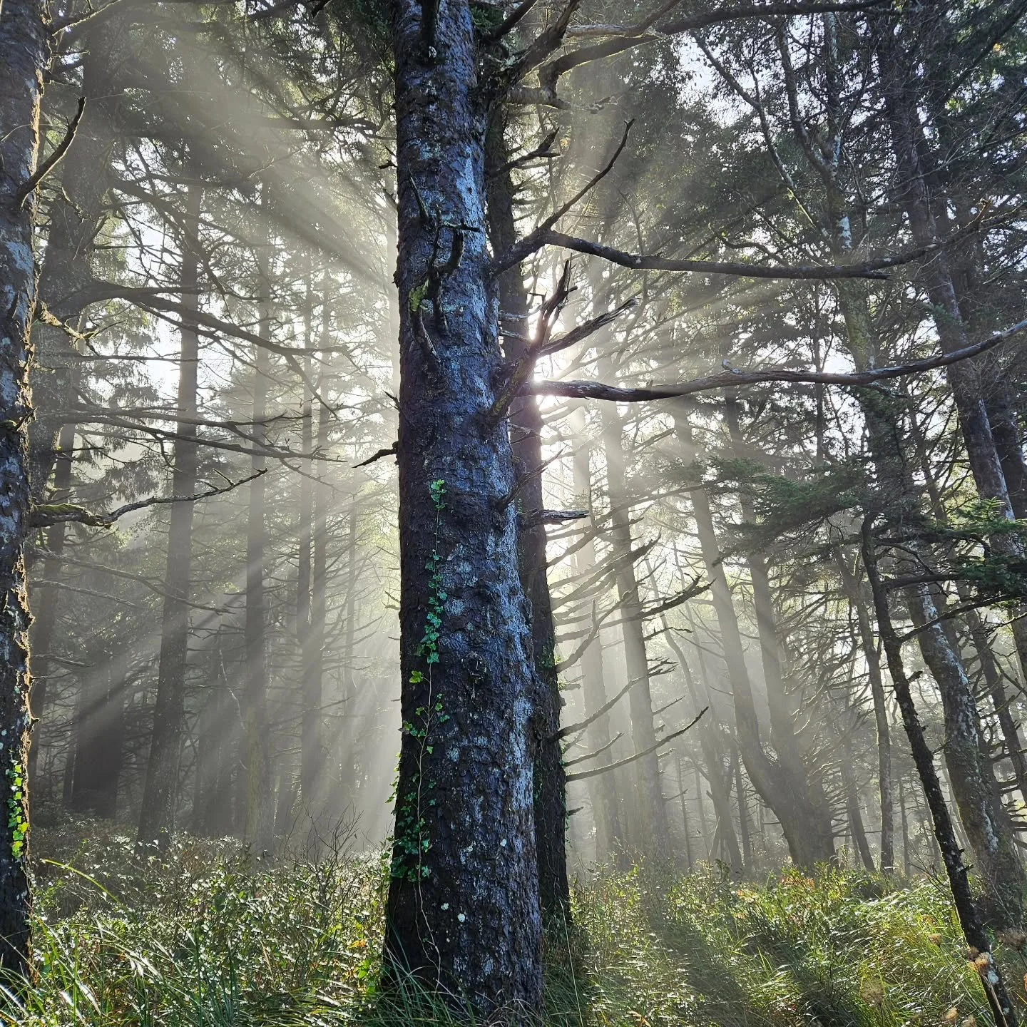 If you're ever confused if we're all connected - just look at the air we share.