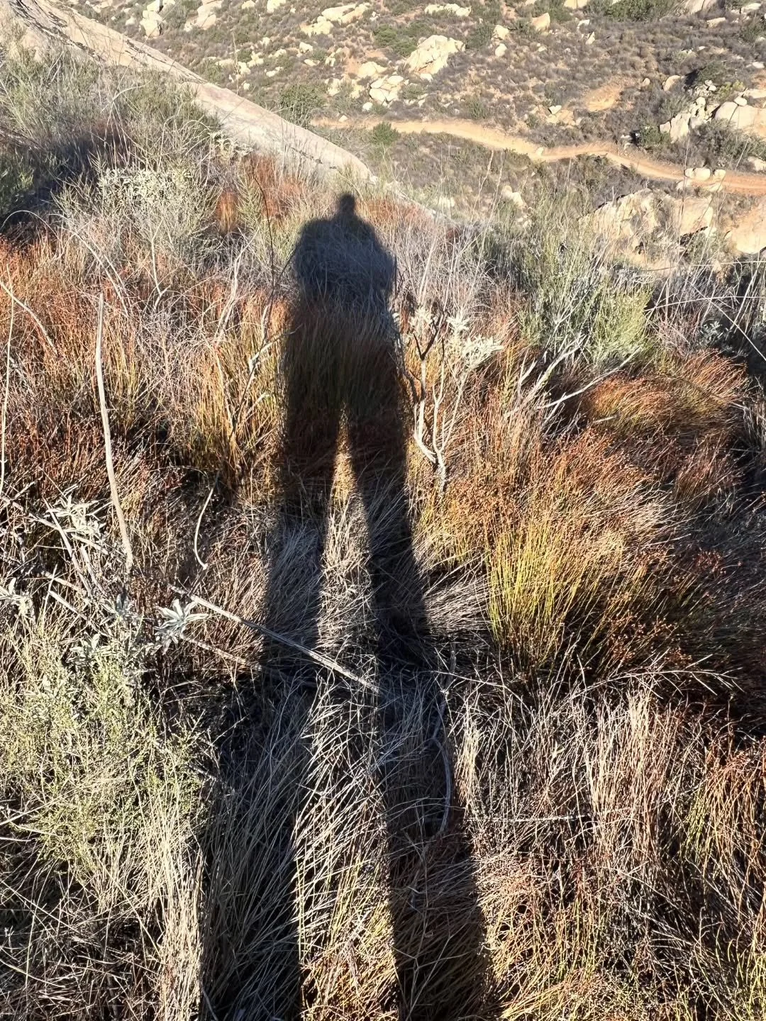 &ldquo;A shadow cannot ignore the sun that all day creates and moves it.&rdquo;

-Rumi