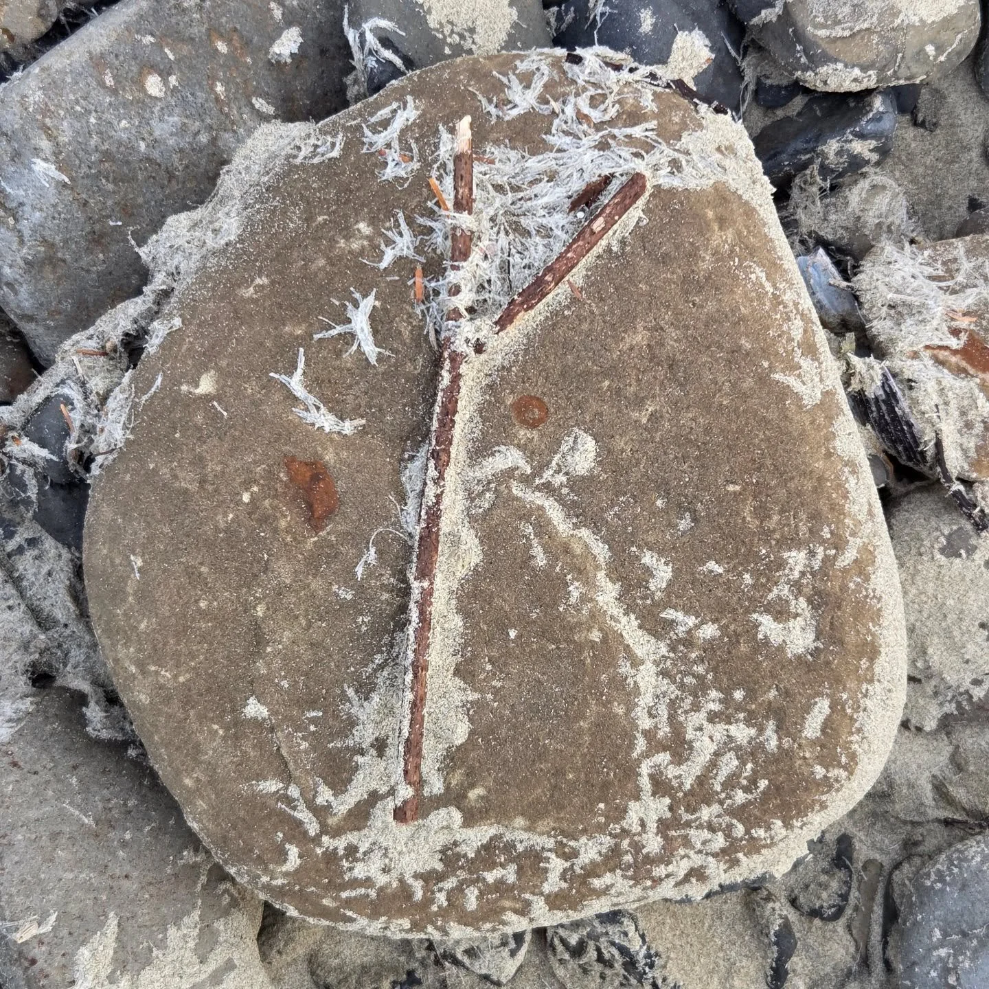 Holidays are a time to remind ourselves to JUST BREATHE.