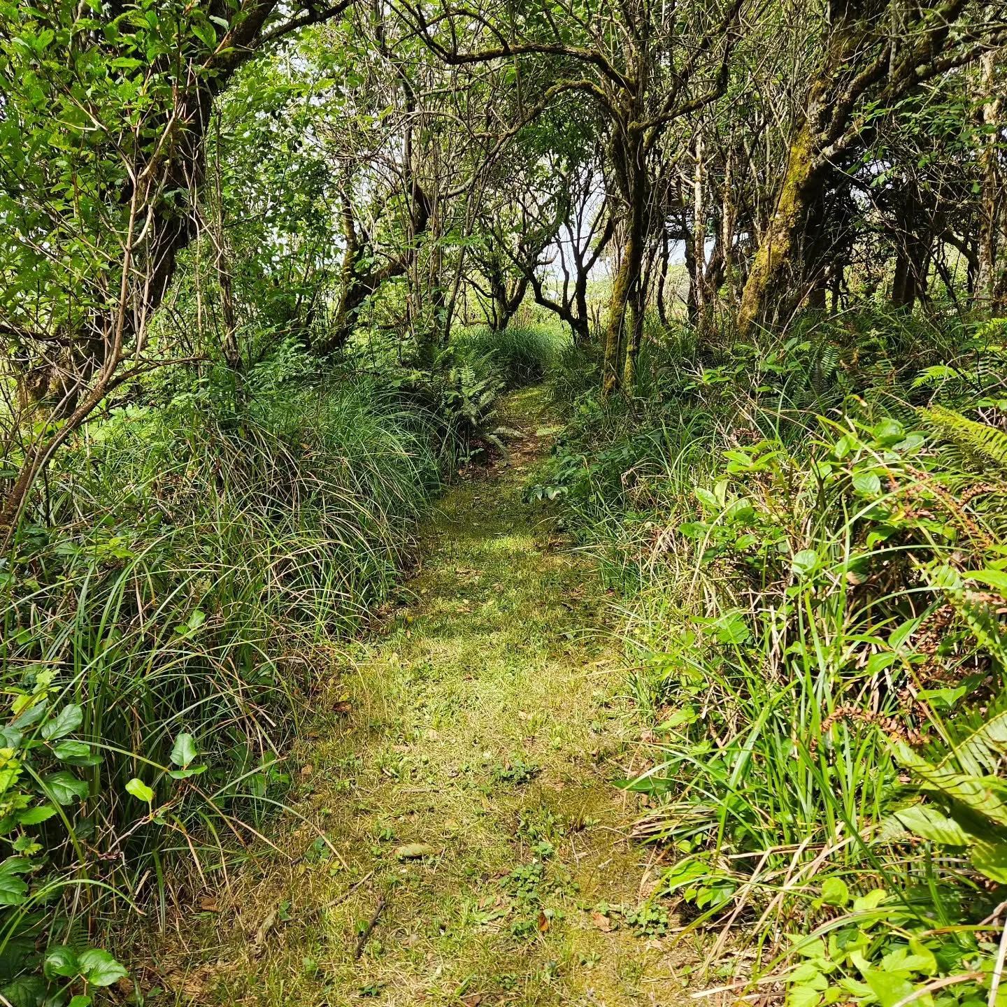 "Two roads diverged in a yellow wood, / And sorry I could not travel both / And be one traveler, long I stood / And looked down one as far as I could..."
"I took the one less traveled by, / And that has made all the difference."

