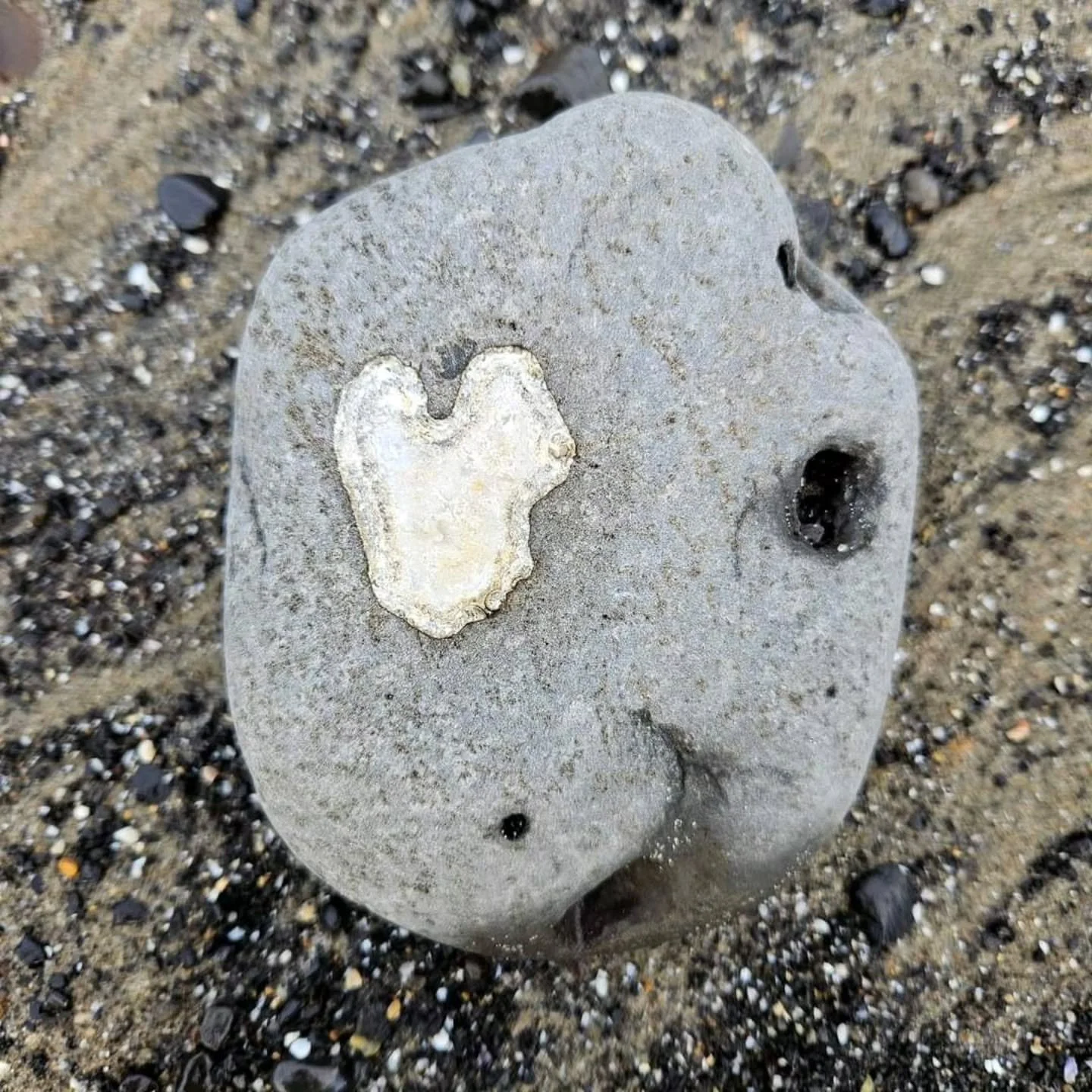 Whatever you do - do it with all your heart!