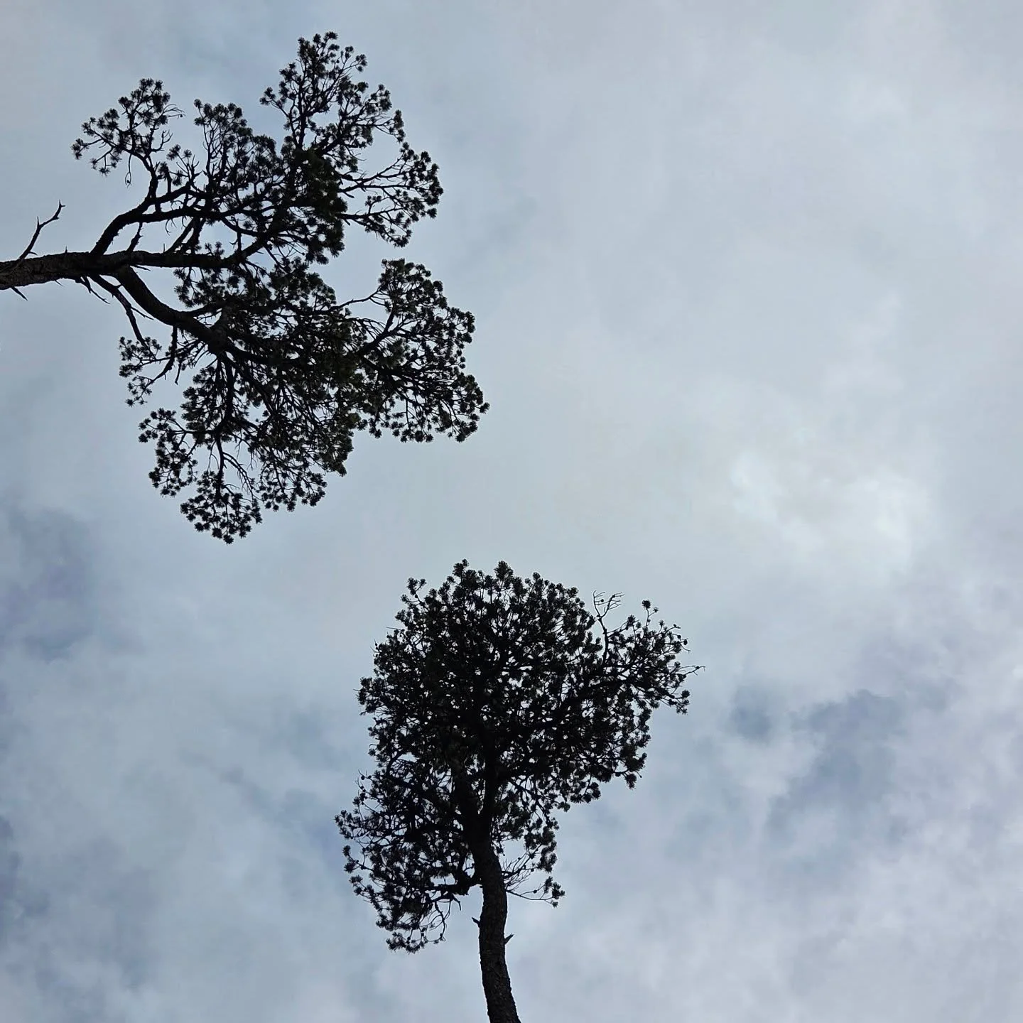 R E A C H and shed limitations, trust your inner self and embrace transformation through love, curiosity and spiritual connection.