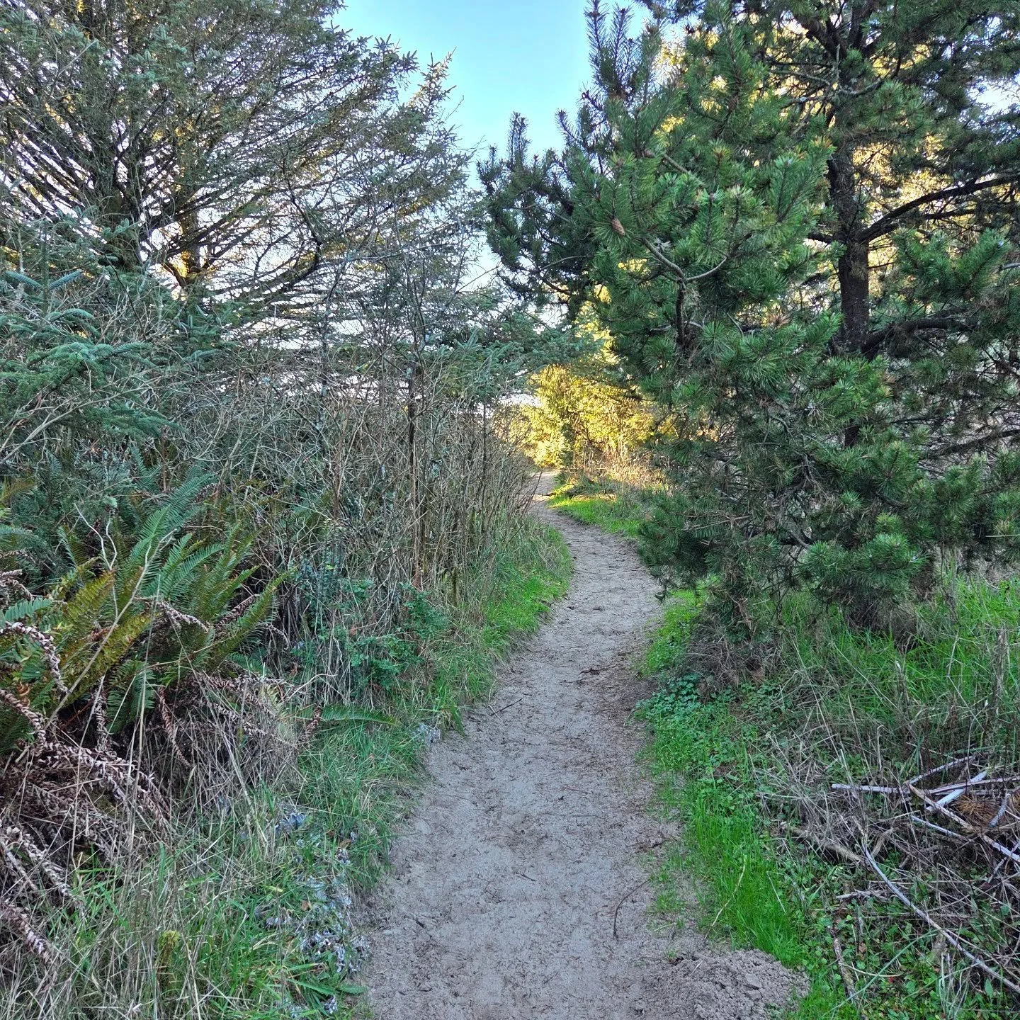 Choose the path of least resistance.