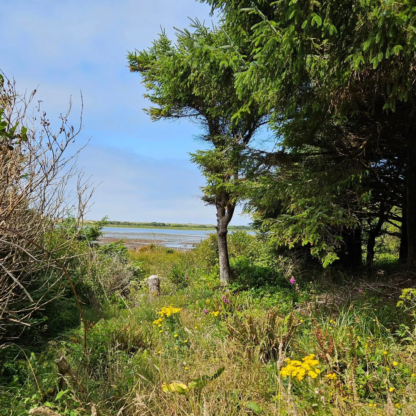 Spring is near - let this upcoming full moon energy awaken you. It's a great time to declutter and organize your spaces.