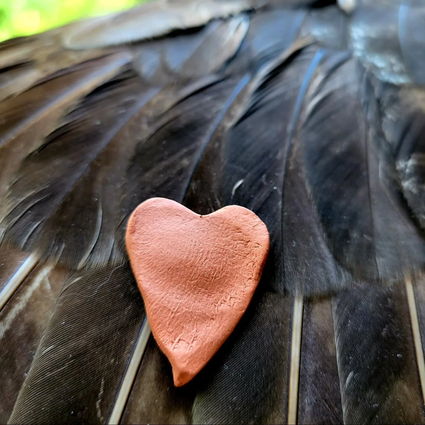 Wherever you go - do it with all your heart.