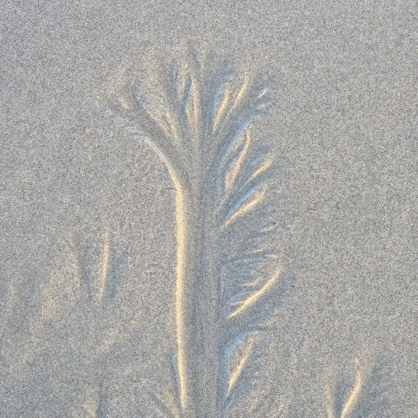 Mother Nature is always connecting us.