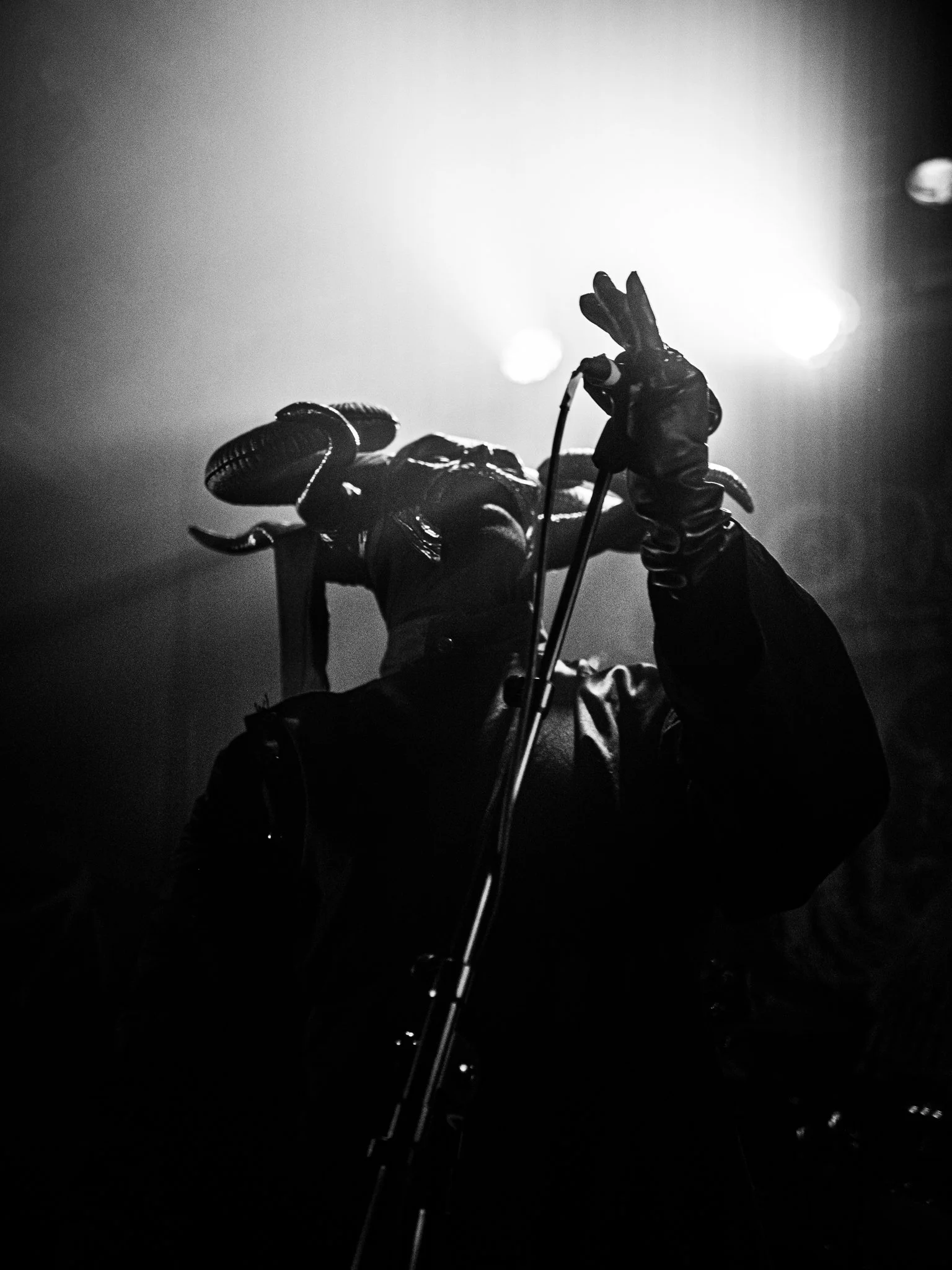 P1039616.jpg