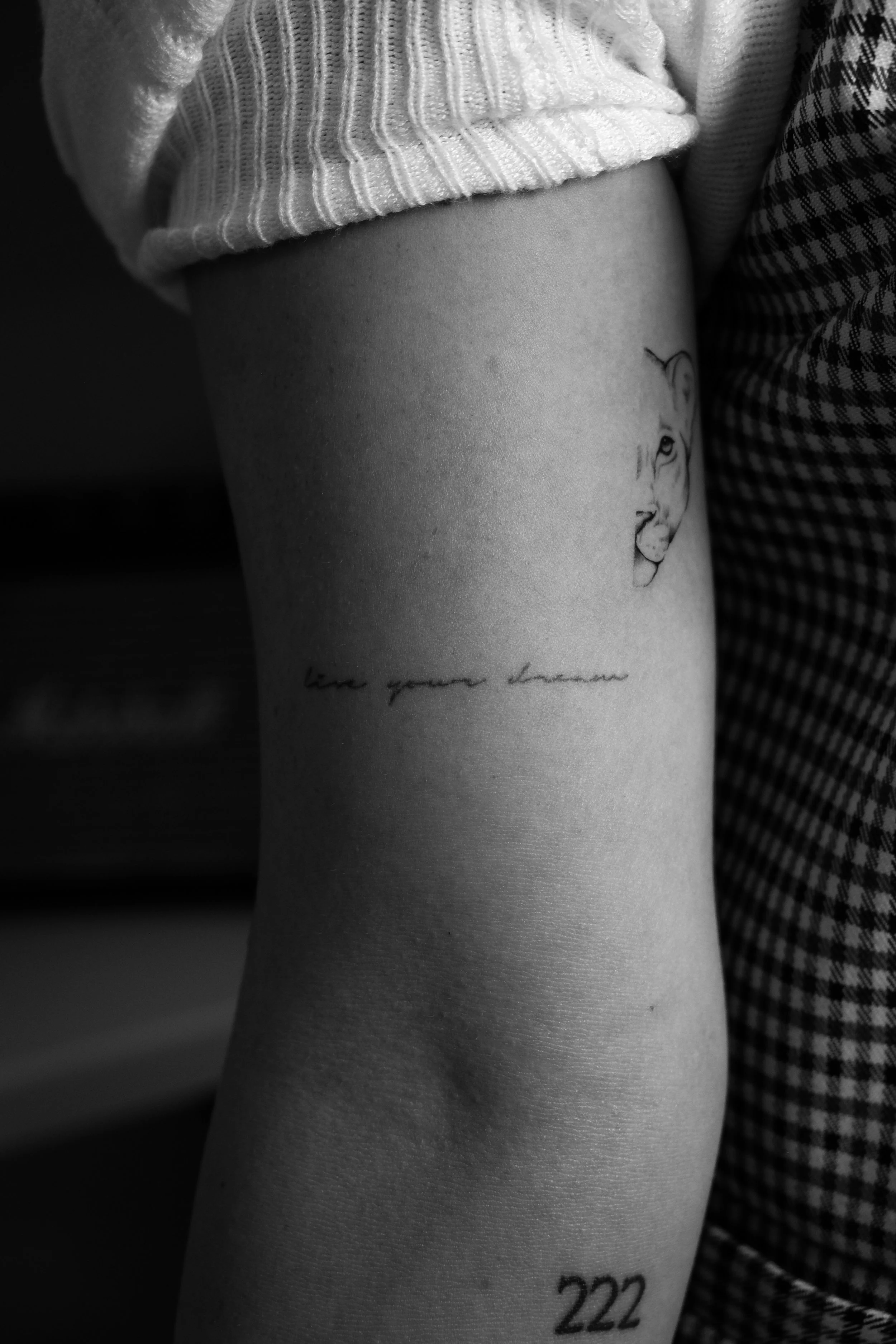 Schwarzer und weißer Tattoo eines Löwenkopfes und der Text 'love your dreams' auf der Haut eines Menschen, mit der Zahl '222' darunter.