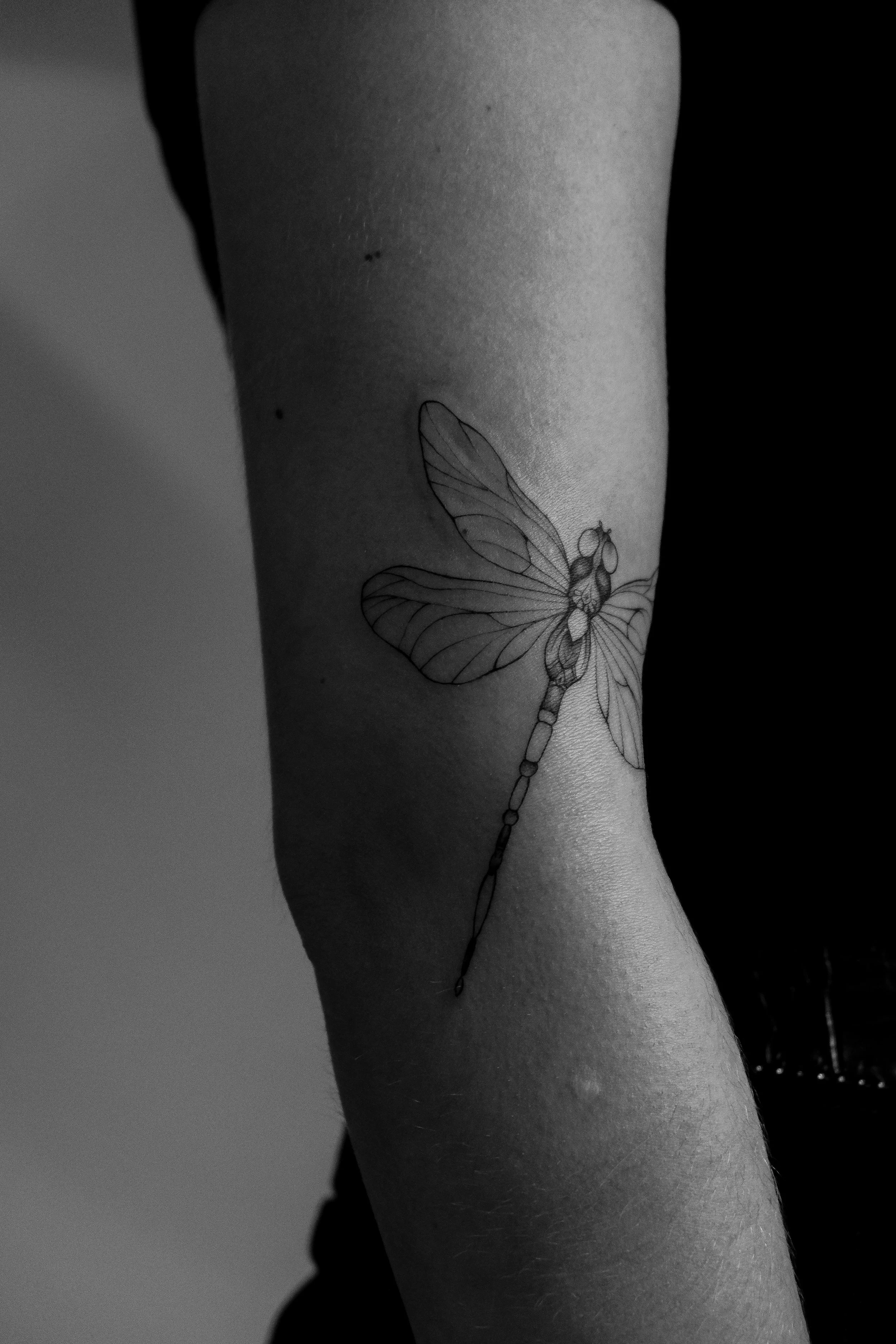 Schwarz-weiß-Tattoo einer Libelle am Arm, mit klaren Linien und detailliert gefüllten Flügel.