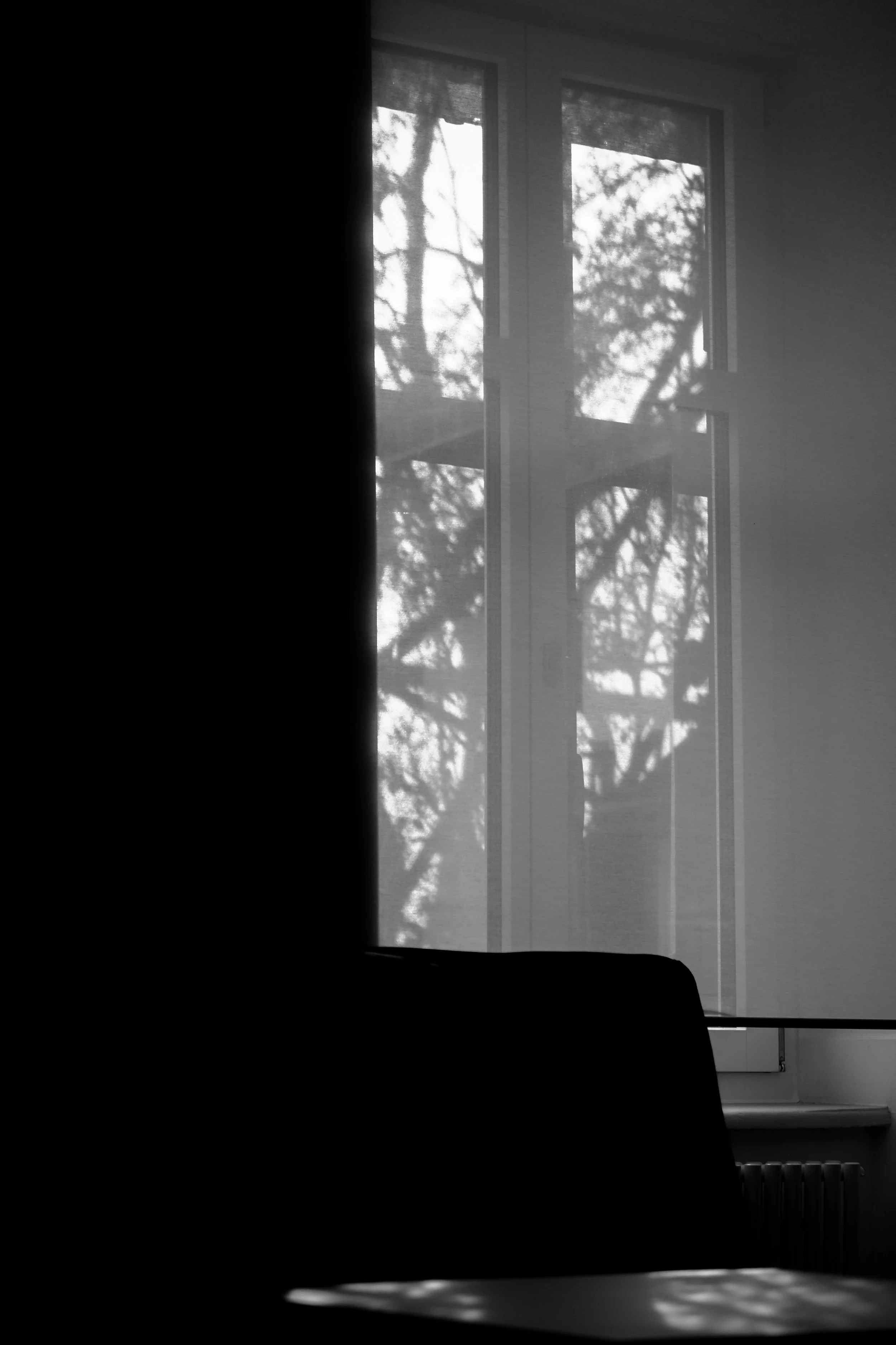 Ein schwarzer Schatten im Vordergrund, eine Fensterfront mit Blick auf eine Baumkrone im Hintergrund, alles in Schwarz-Weiß