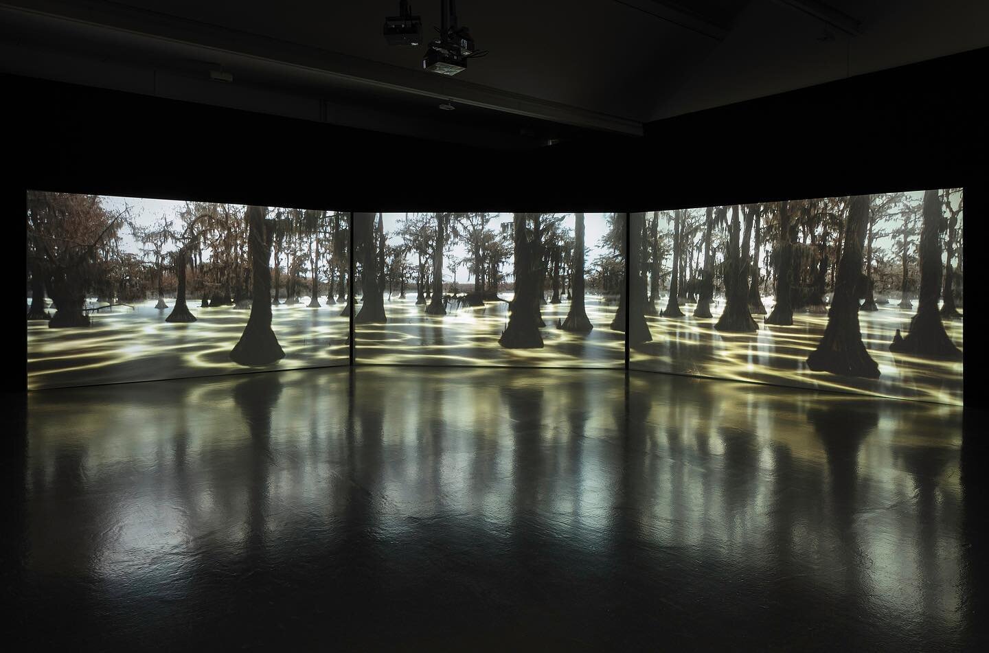 Awi'nakola team member Kelly Richardson presents her video installation Leviathan in a solo exhibition at The Amelia (Feb 3-May 15), Tunbridge Wells, UK. 

The work draws on Richardson's distinct art practice which focusses on ideas around conservati