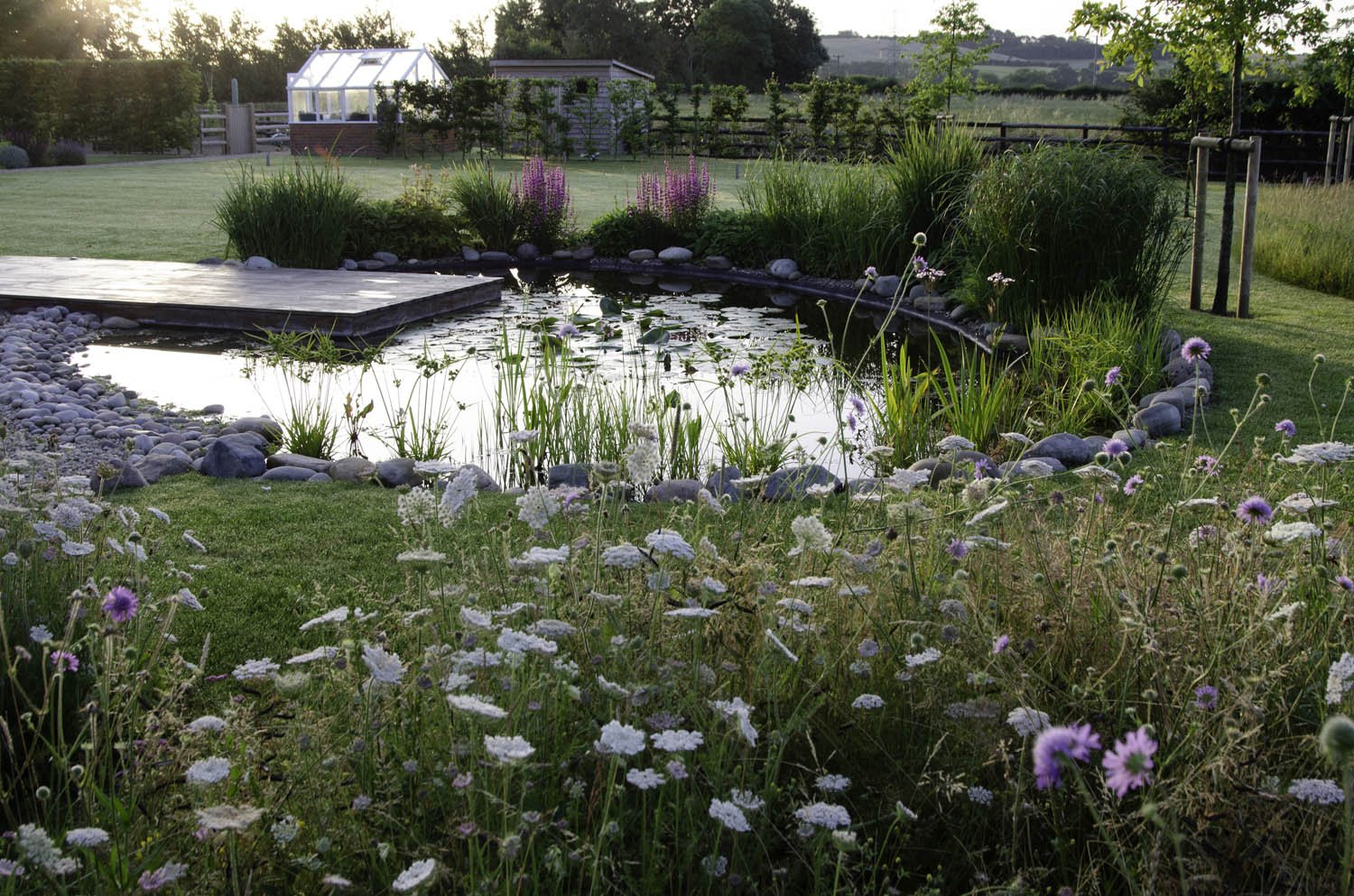 Sarah-Naybour-Garden-Design-THE-PADOCK-GREEN-20.jpg