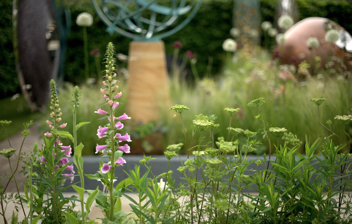 Sarah-Naybour-Garden-Design-SHOW-GARDENS-1.jpg