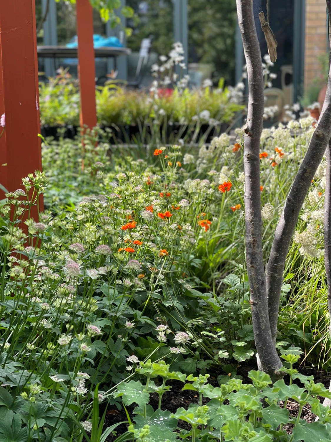 Sarah-Naybour-Garden-Design-SMALL ARTISAN GARDEN-8.jpg