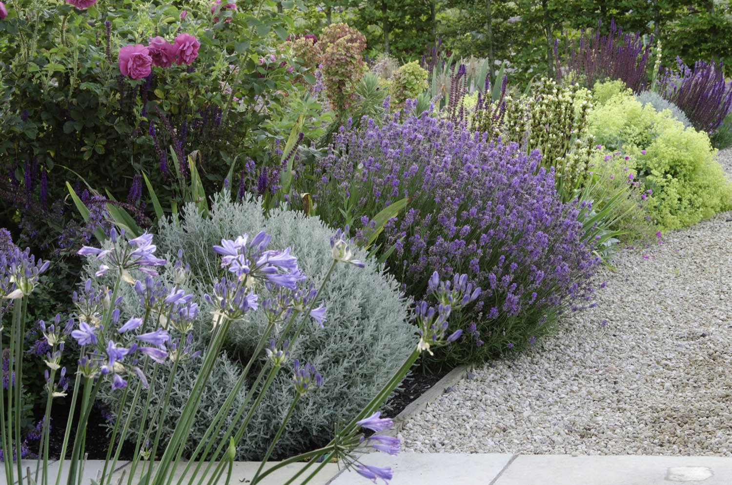 Sarah-Naybour-Garden-Design-THE-PADOCK-GREEN-3.jpg