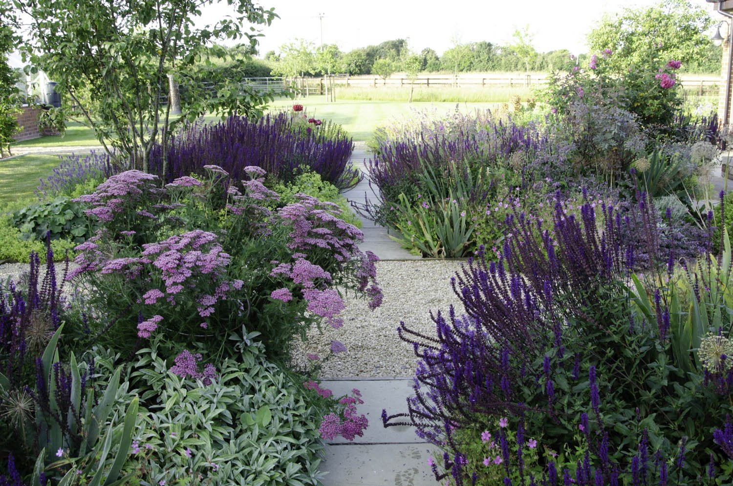 Sarah-Naybour-Garden-Design-THE-PADOCK-GREEN-10.jpg
