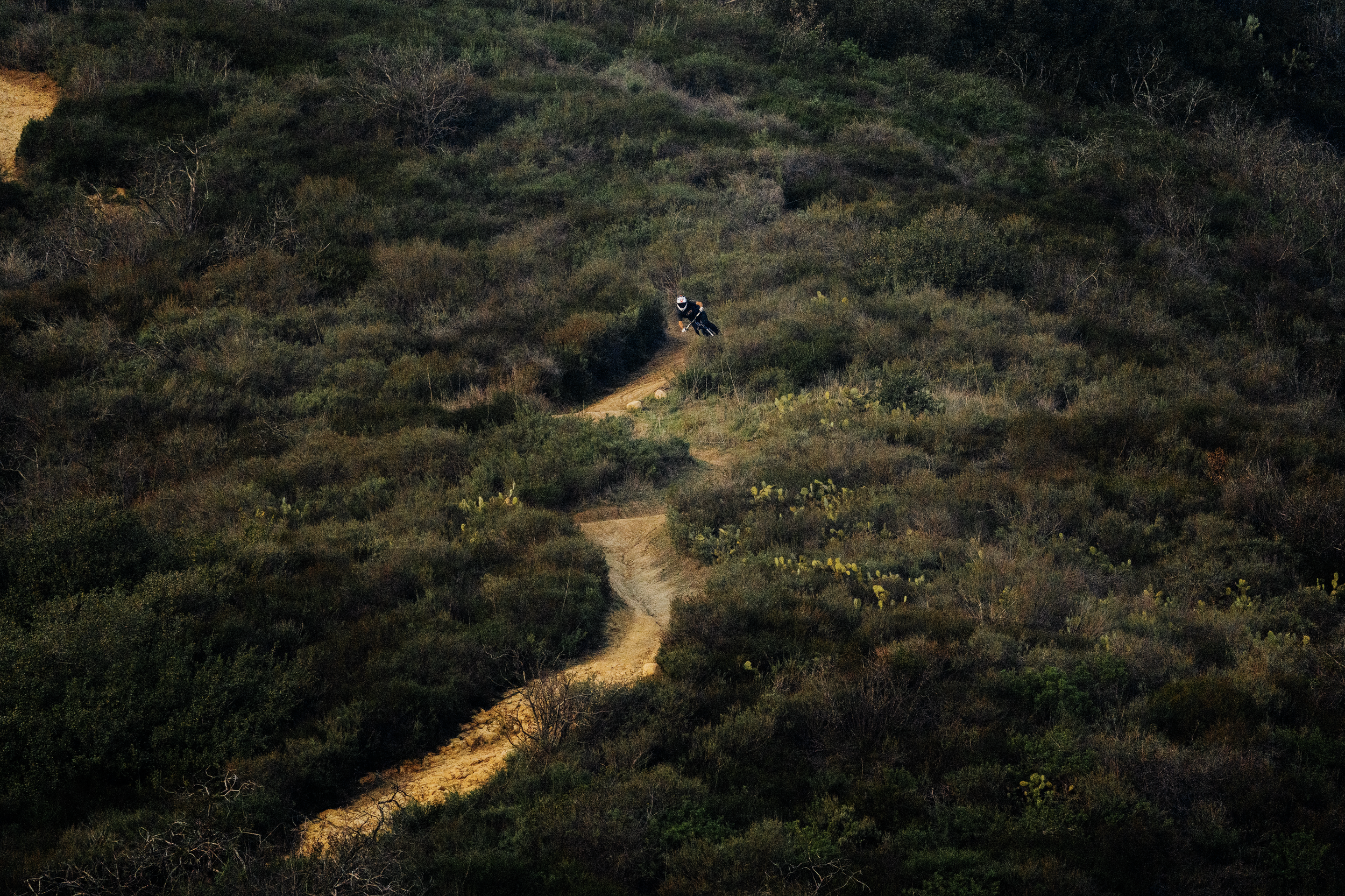 Screenshot 2026-04-15 at 8.01.59 PM.png