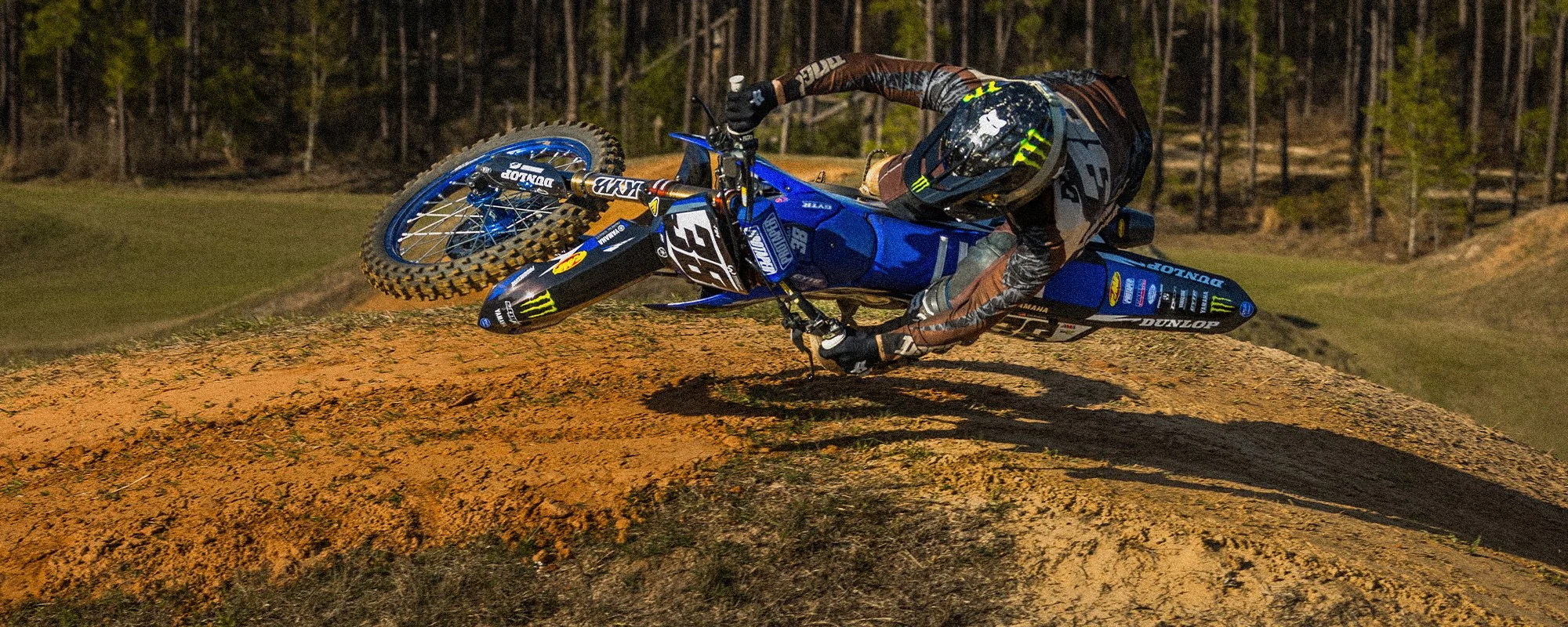 01 AIE DEEGAN