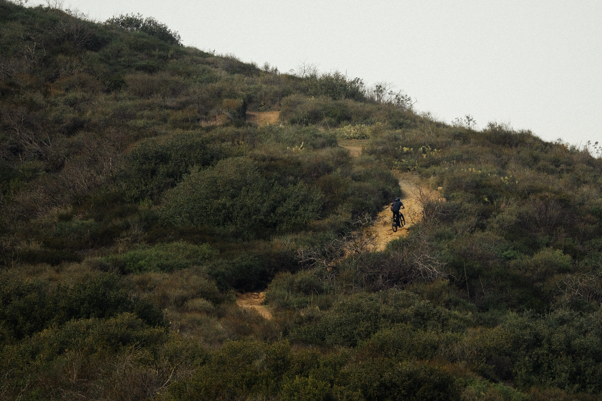 Screenshot 2026-04-15 at 8.02.09 PM.png