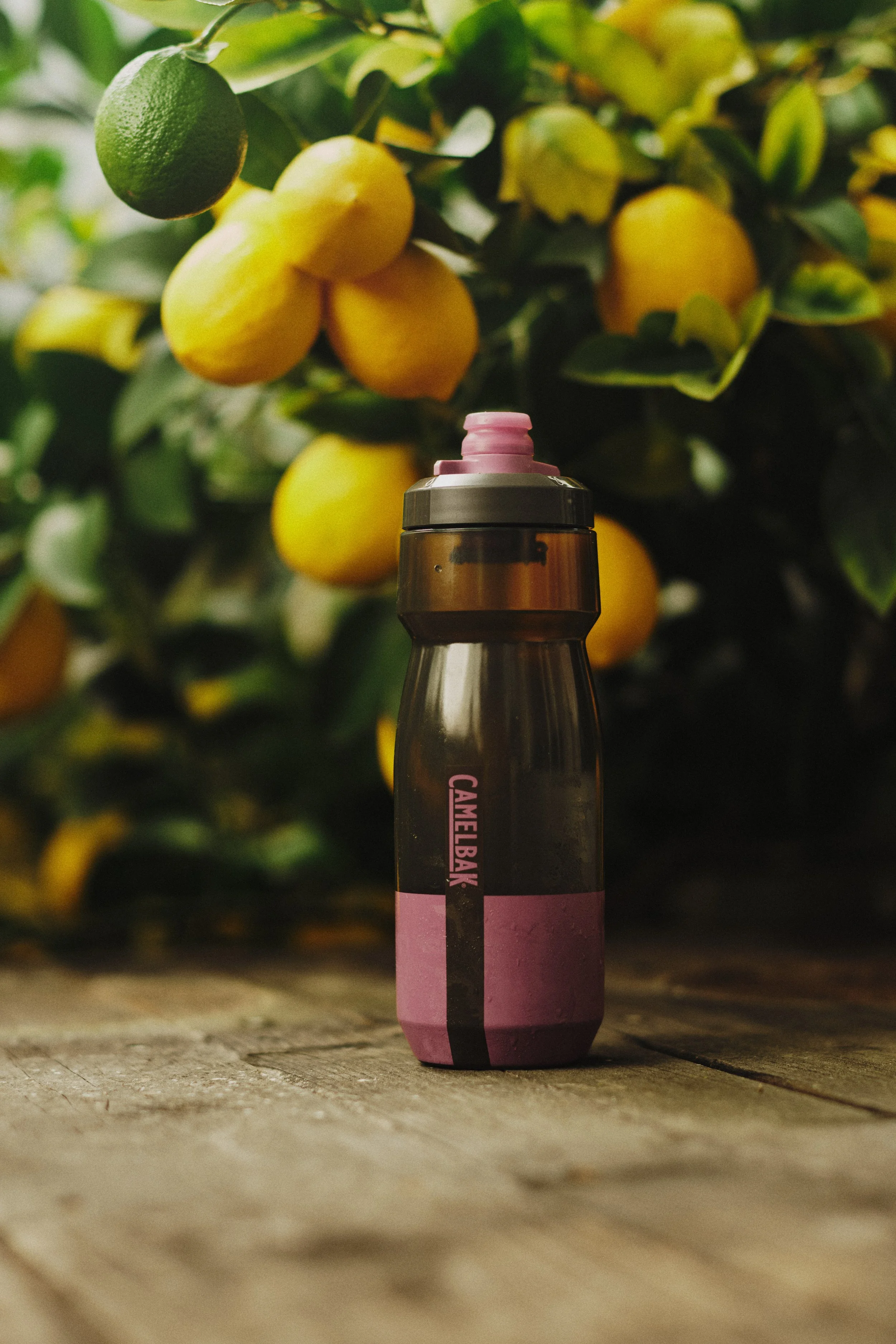 CAMELBAK_SS26_KATE_1065 copy.jpg