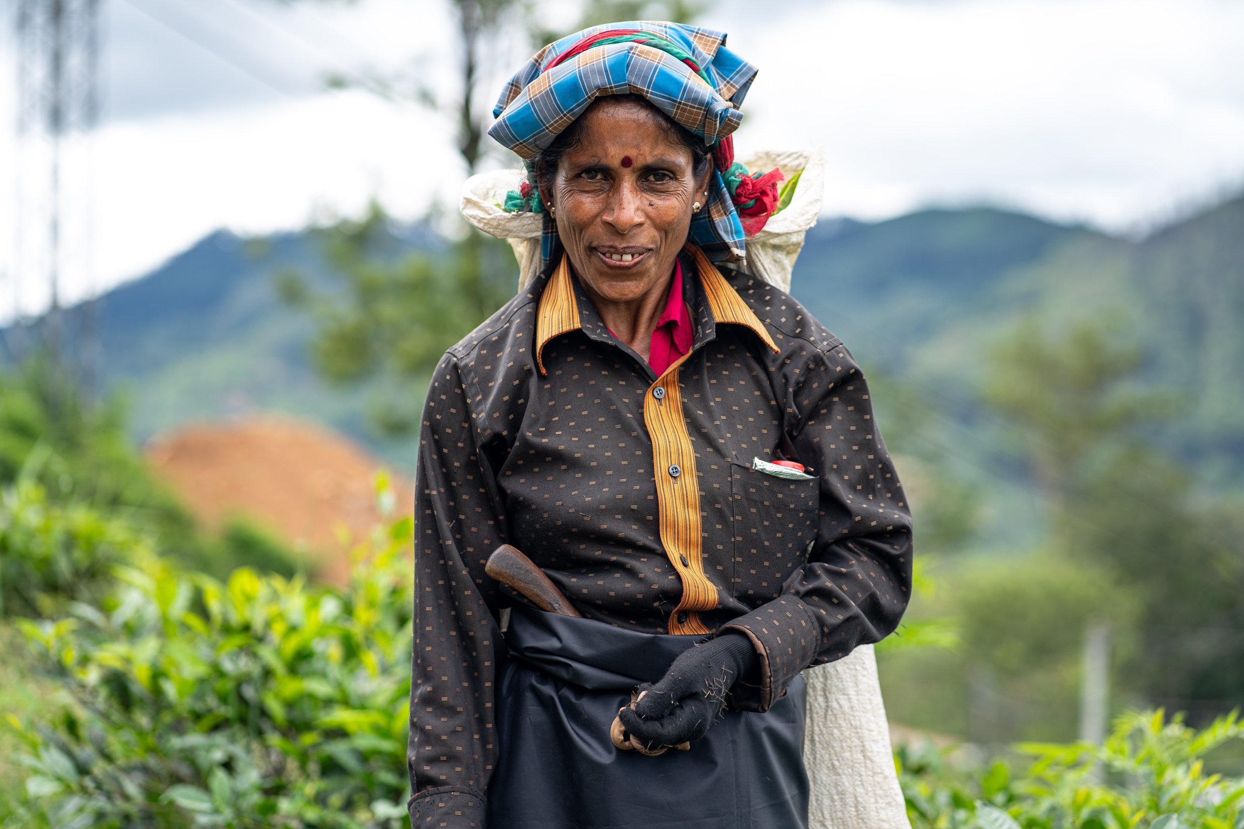 A woman wearing a plaid headscarf, black polka-dotted shirt with a yellow collar, holding a Gardening tool, standing in a lush green landscape.