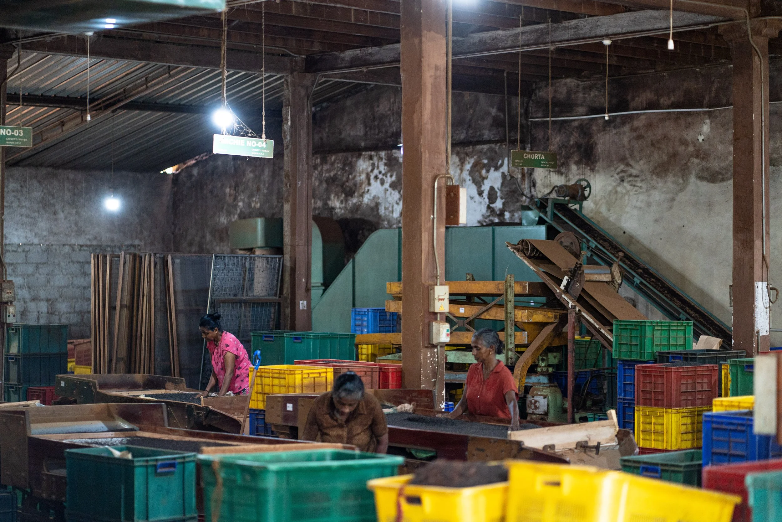 Three women working in a factory or warehouse with colorful crates and machinery, under a corrugated metal roof.