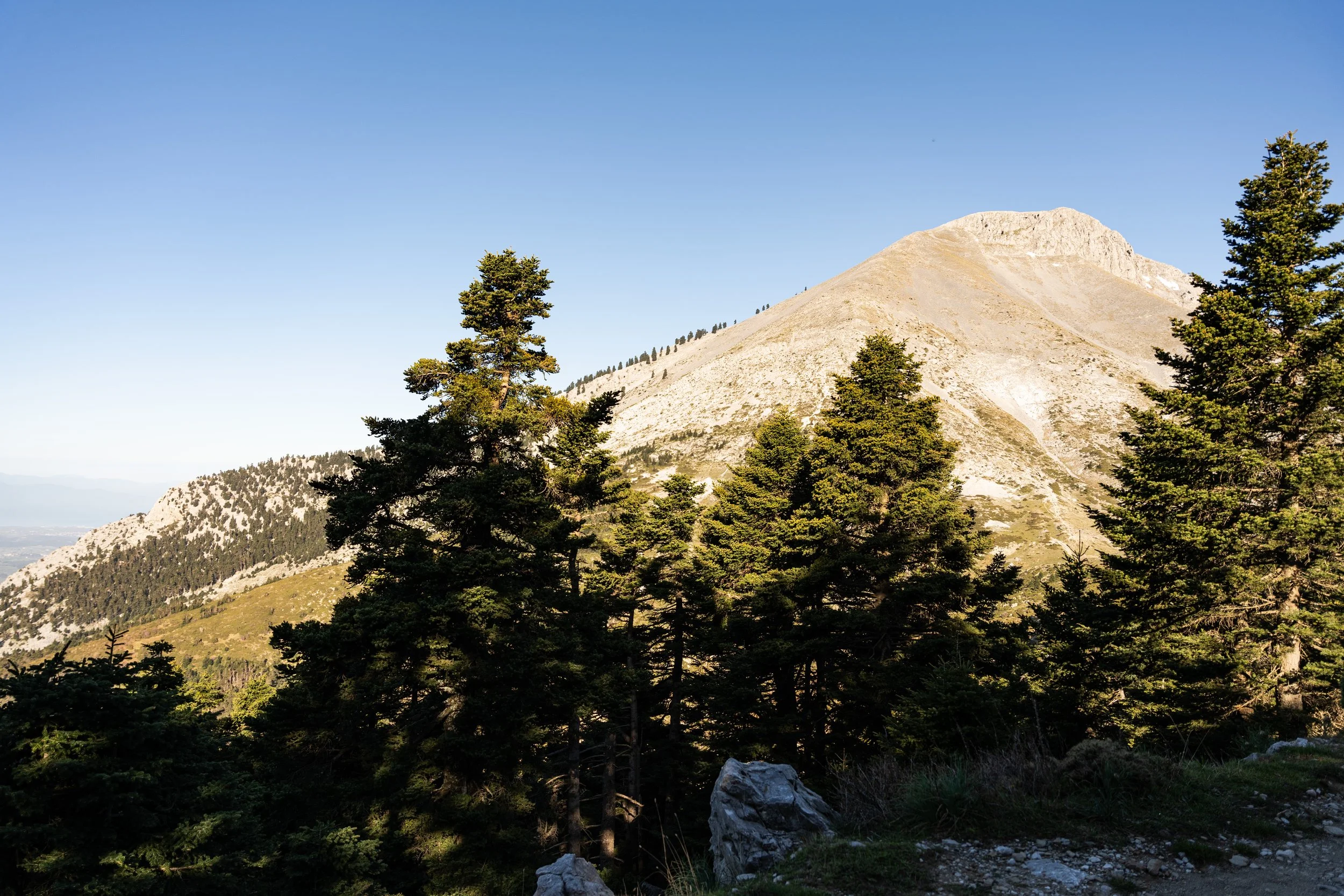 A mountain landscape with a rocky peak, surrounded by green pine trees under a clear blue sky.