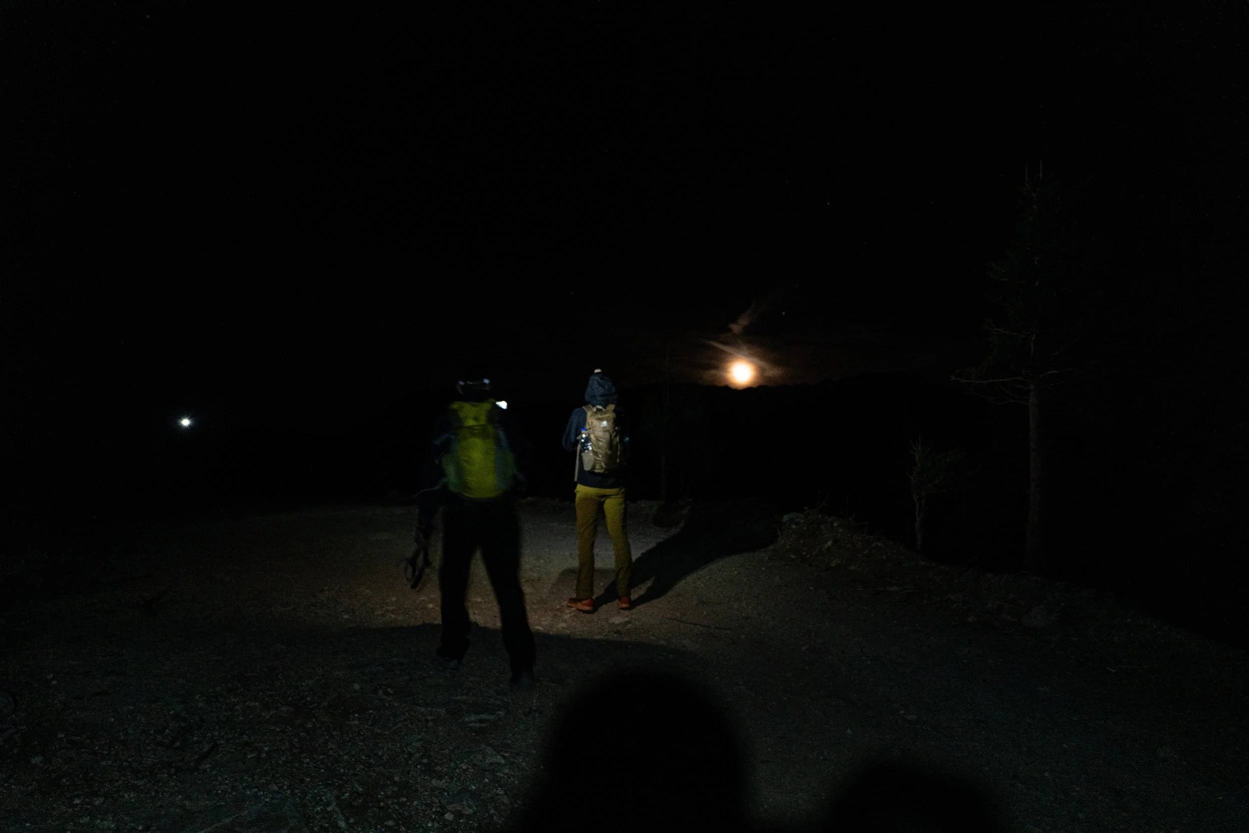 Two hikers with backpacks walking on a trail at night, illuminated by a faint light, with a bright moon in the sky and a few trees in the background.