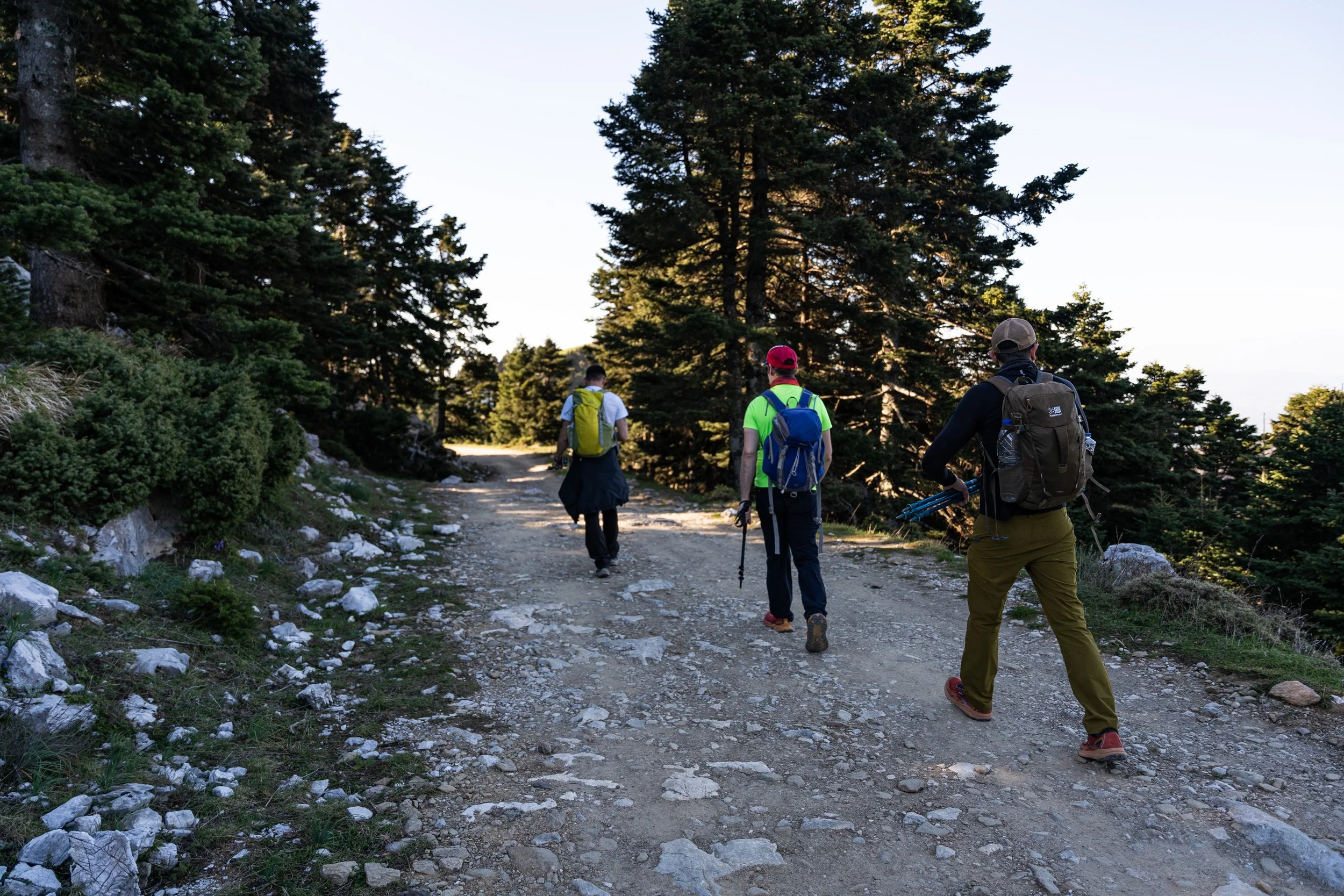 Four hikers with backpacks walking on a dirt trail through a forest of tall trees.