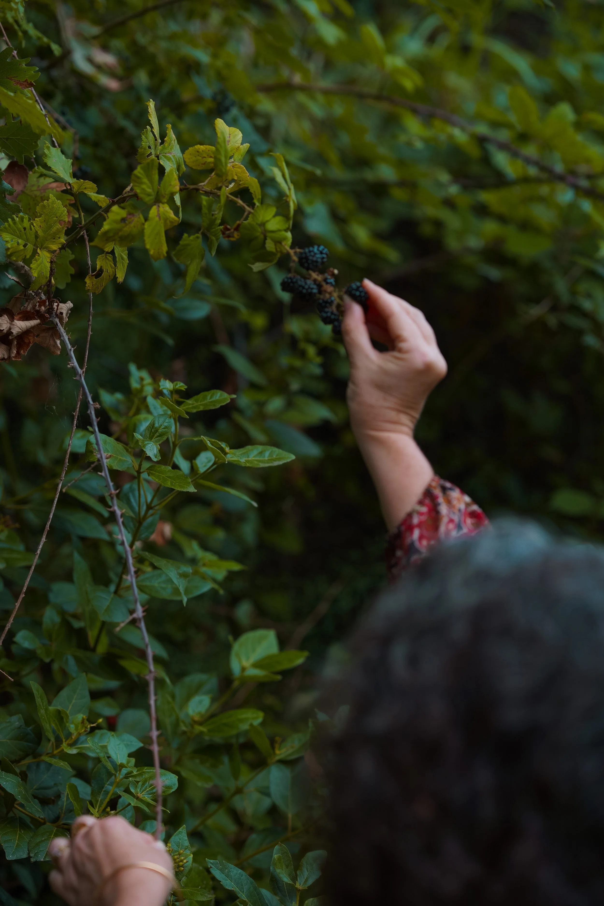 Elixirphotos_séance-reconnexion_Isabelle-26.jpg