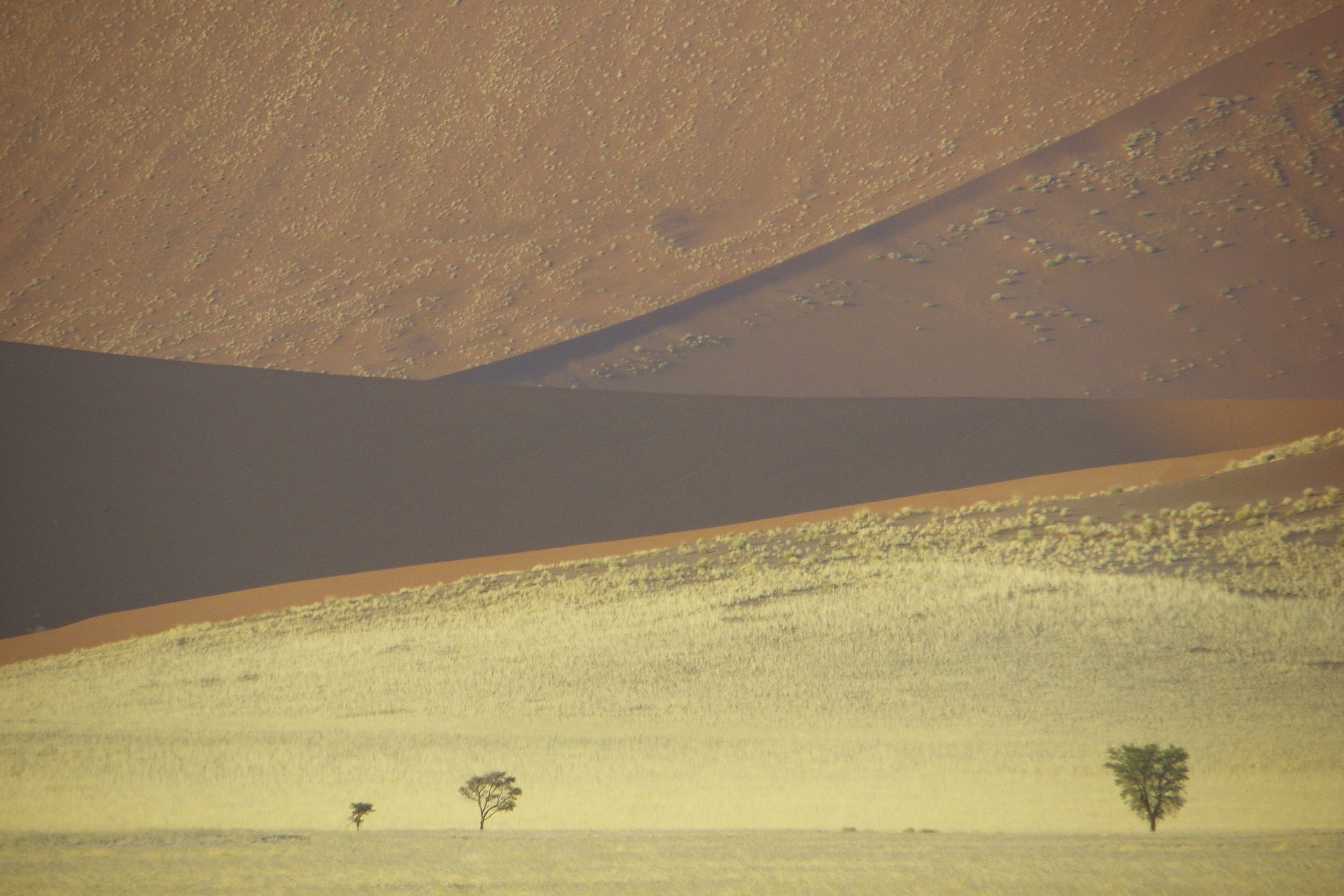 Fine art photography: Namib desert landscape 