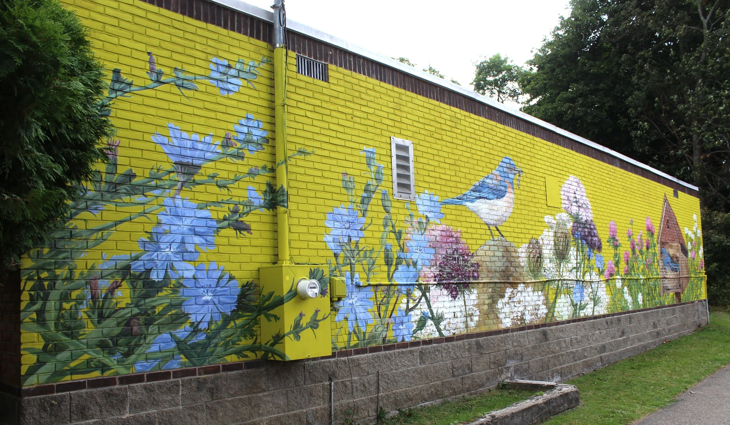 IMG_6286.JPG