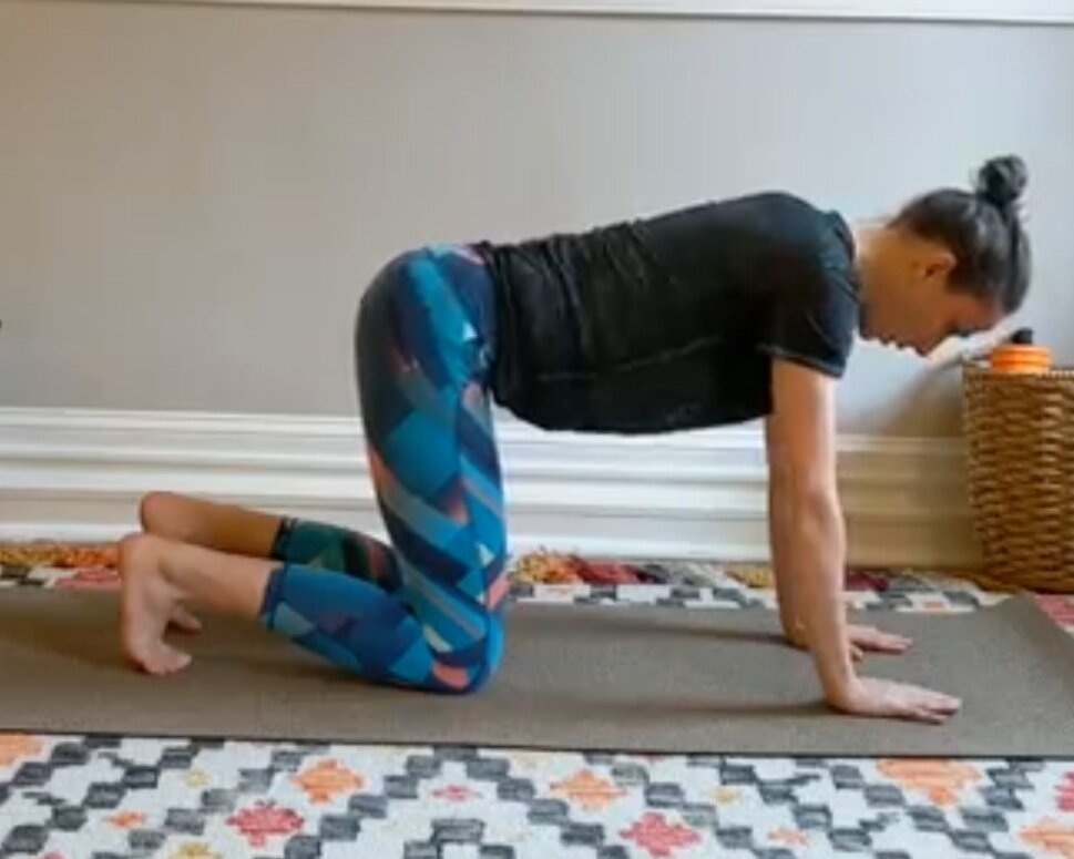 Start - Beginning quadruped position. Toes can stay curled as shown or be uncurled for this exercise as seen in next two movements.