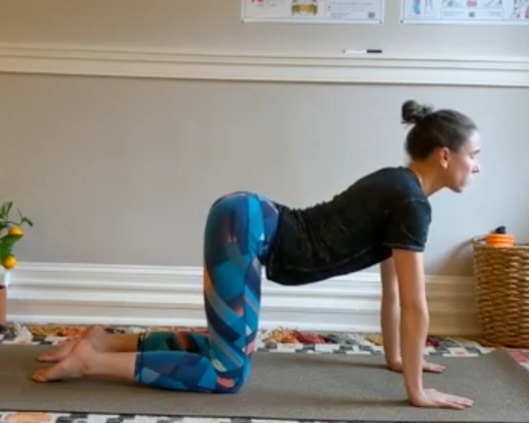 Cow Position - Belly drops and spine extends as you inhale finding movement through the spine.