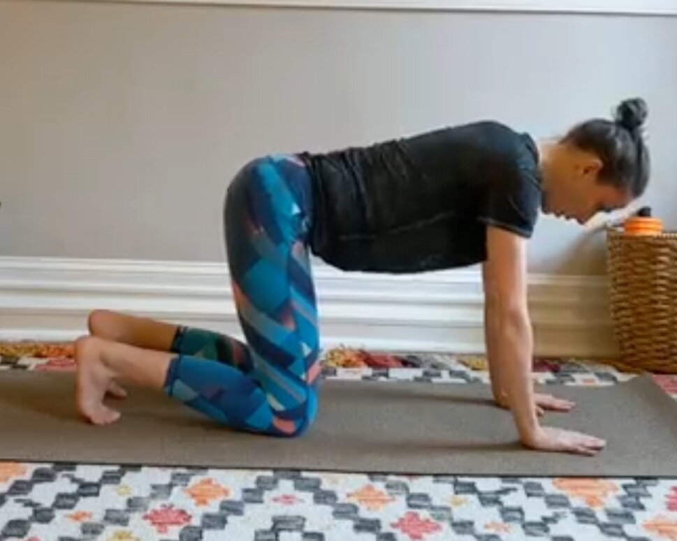 Start - Quadruped position. Hands below shoulders, knees below hips and spine in a neutral table top.