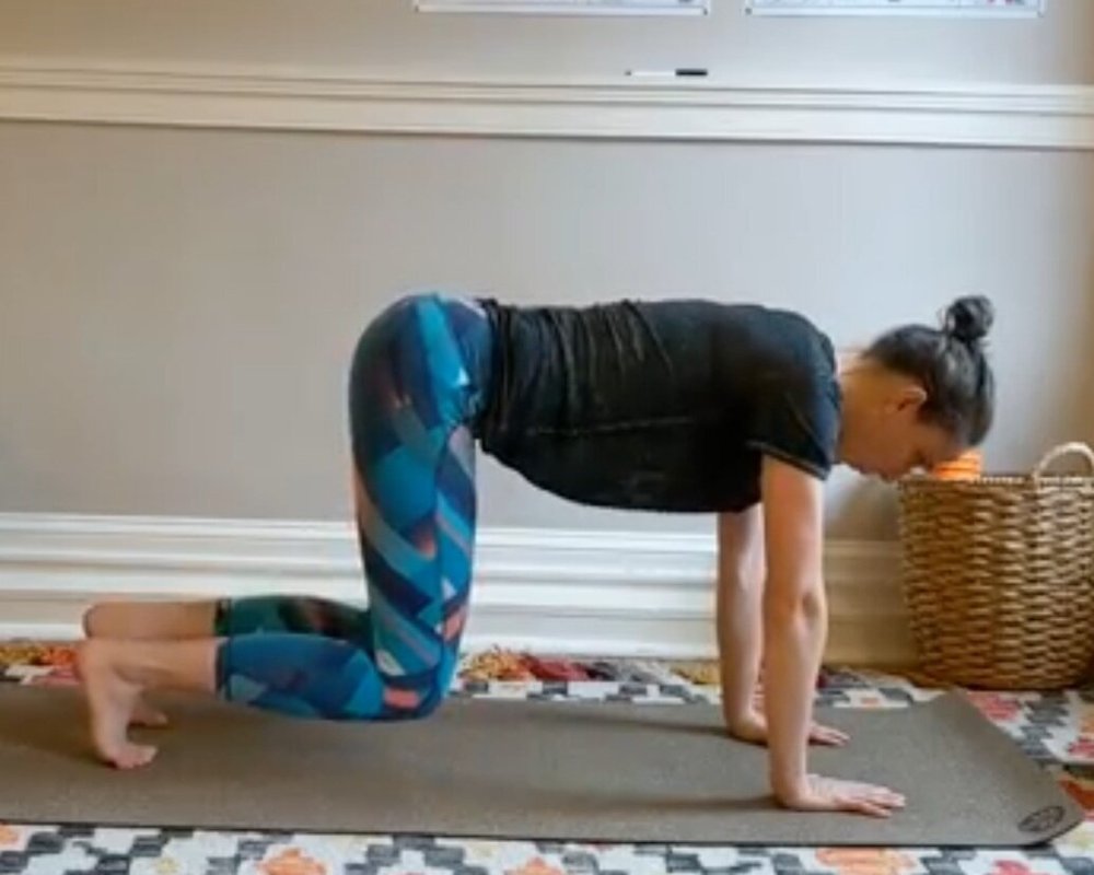 Start - Beginning quadruped position with knees lifted off the ground for a bear crawl. Spine including neck is in a neutral position.