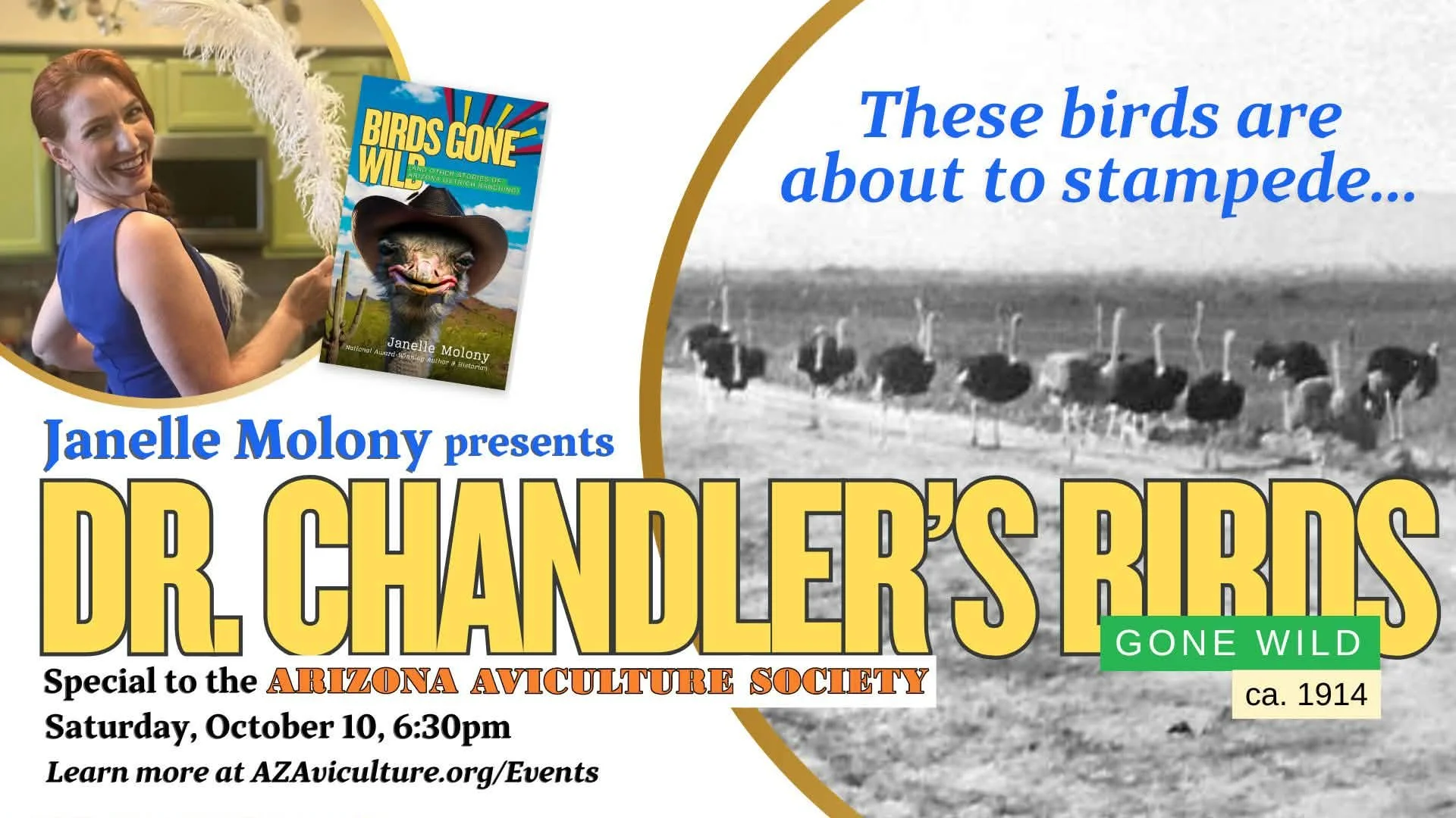 Dr. Chandler’s Birds Gone Wild
