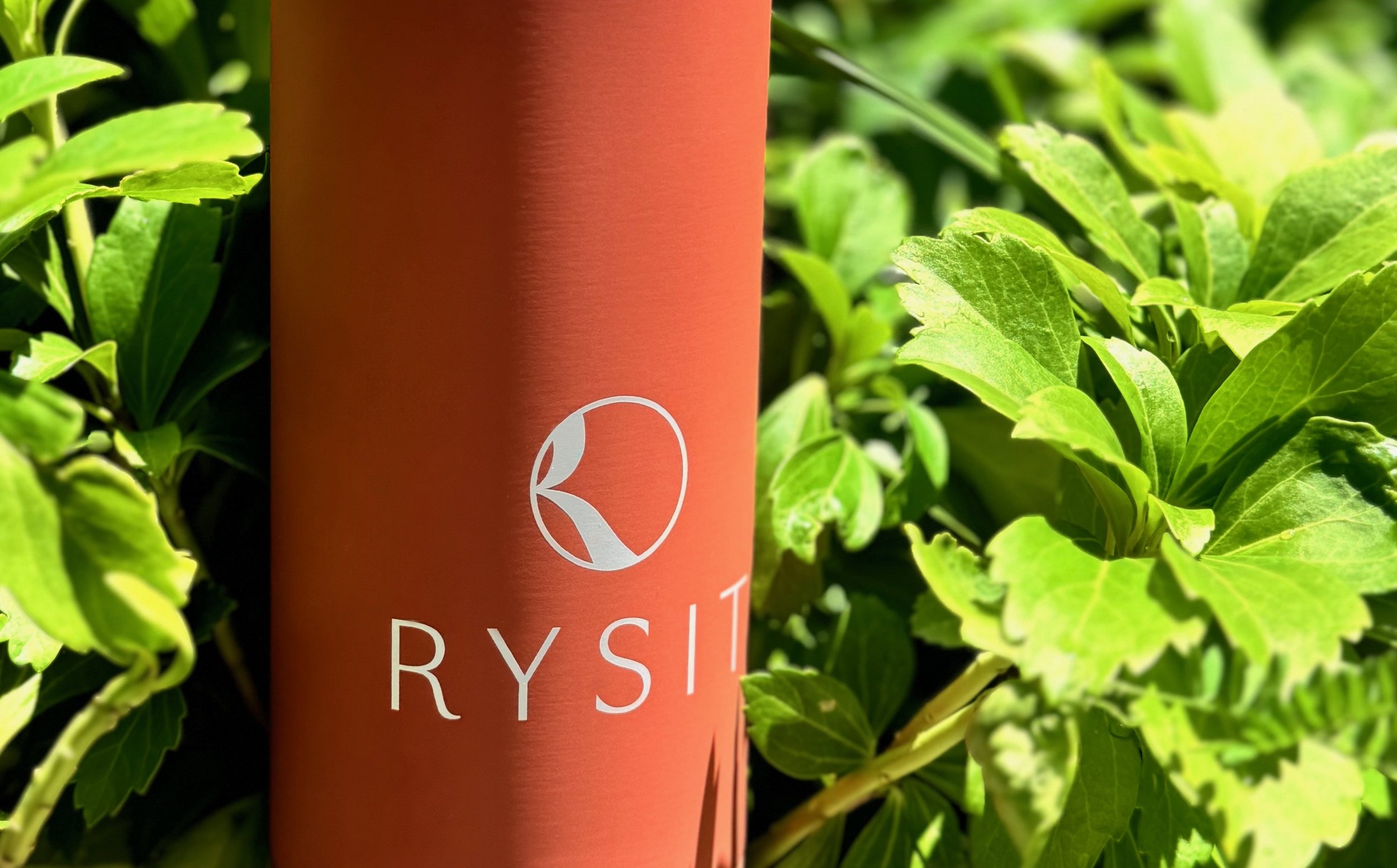 RYSITbottle5 (1).jpeg