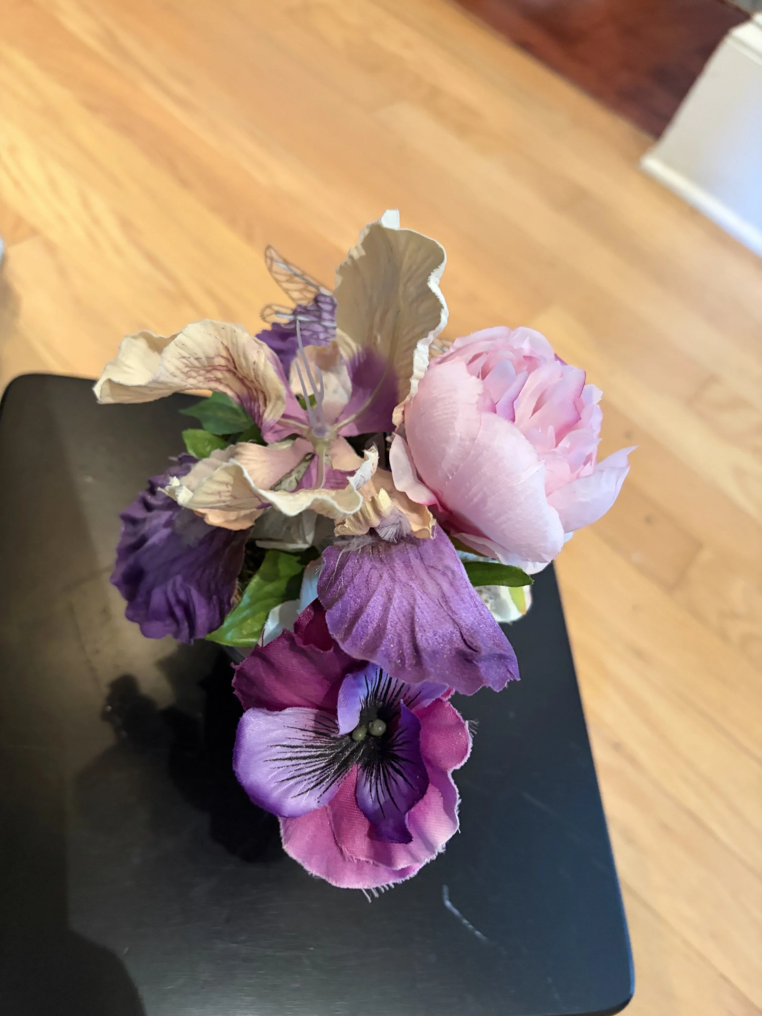 IMG_6061.jpeg