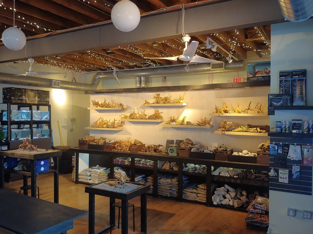 Rivershore Aquariums