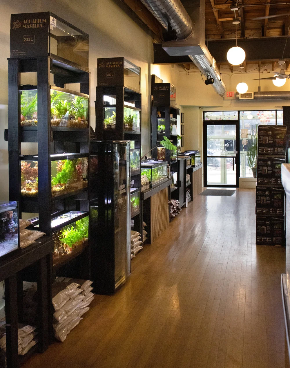 Gallery — Rivershore Aquariums