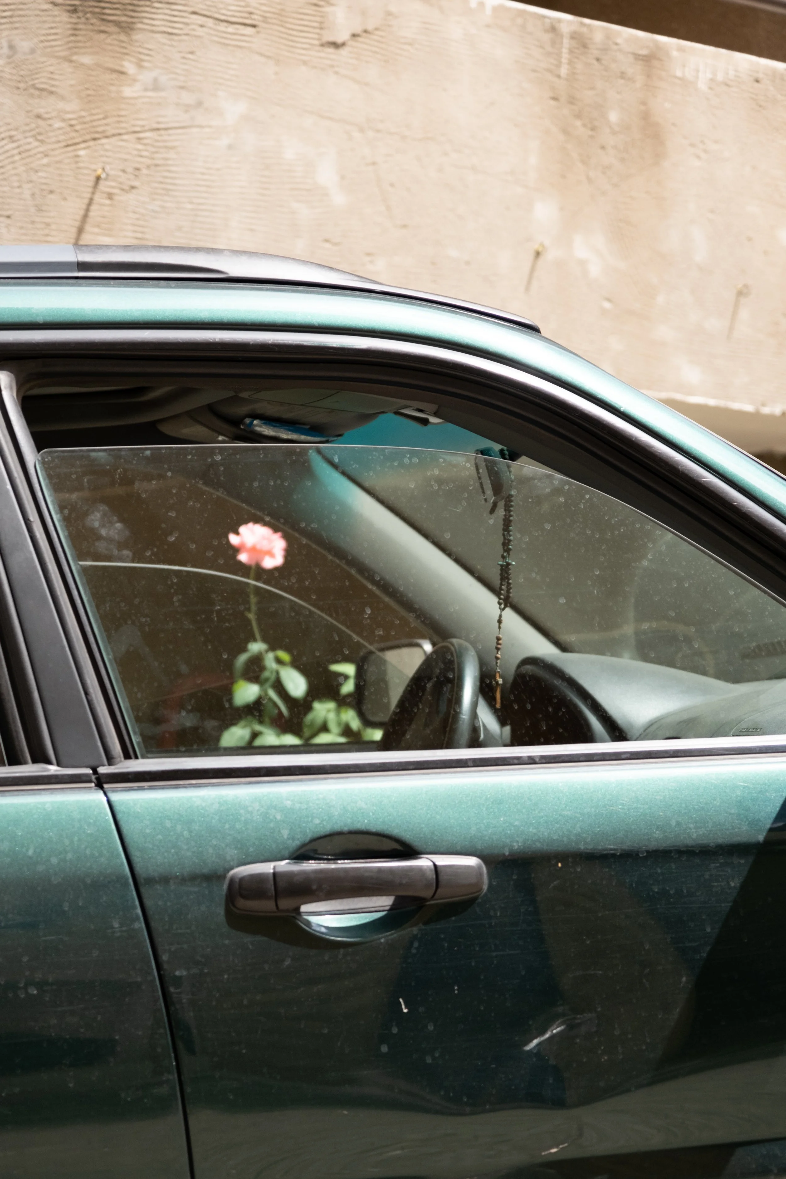 DSCF9732.jpg